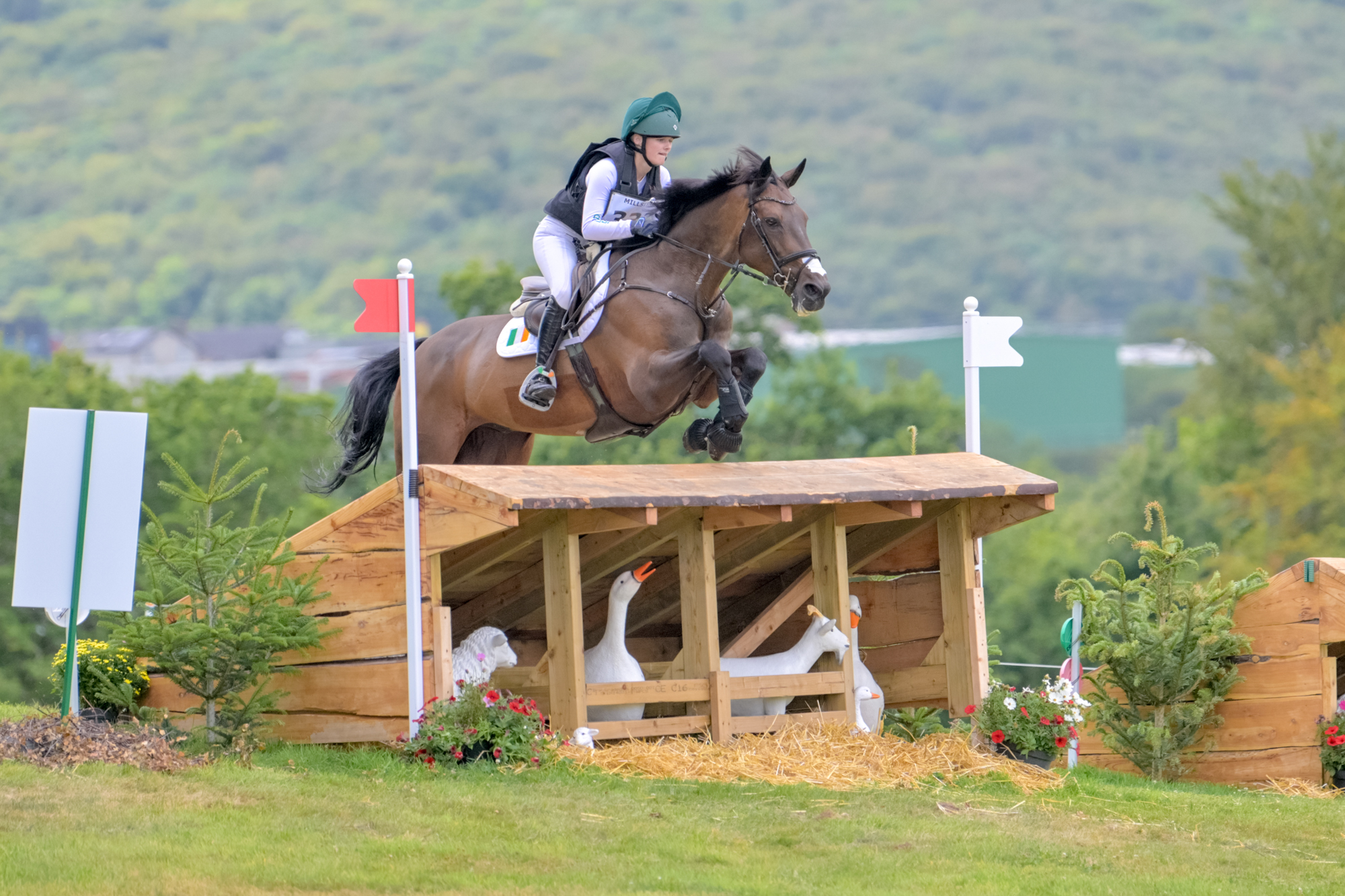 FEI Under-25 Eventing World Championship Millstreet