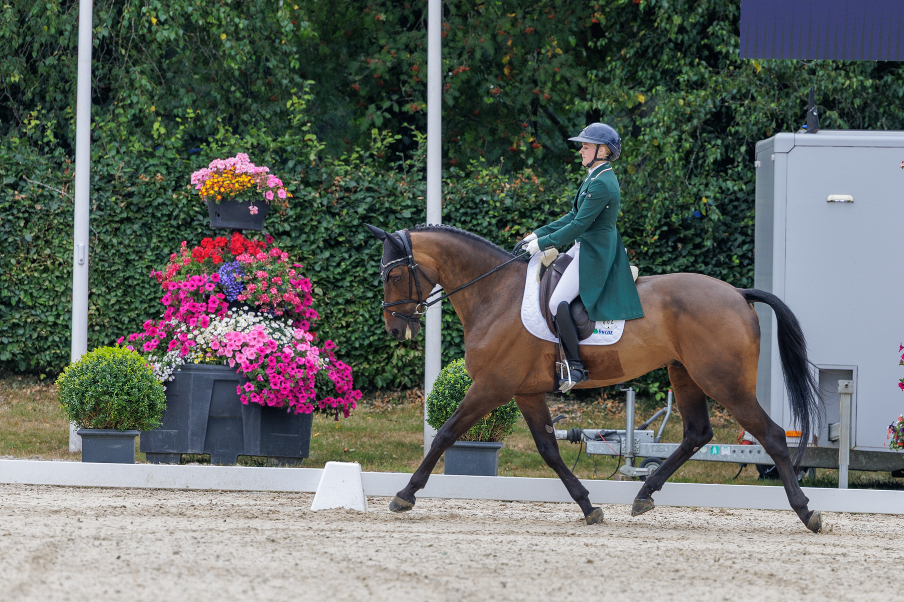 FEI Under-25 Eventing World Championship Millstreet