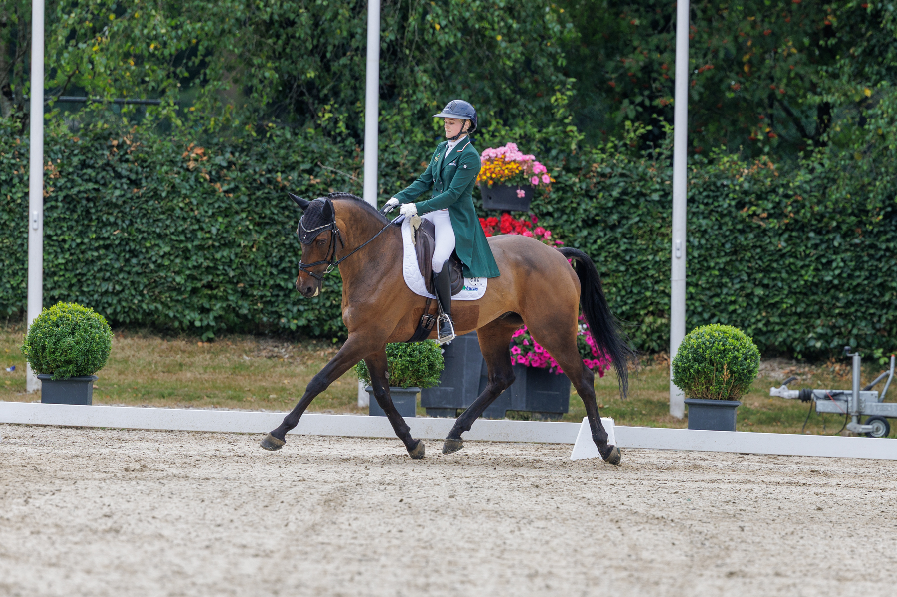 FEI Under-25 Eventing World Championship Millstreet