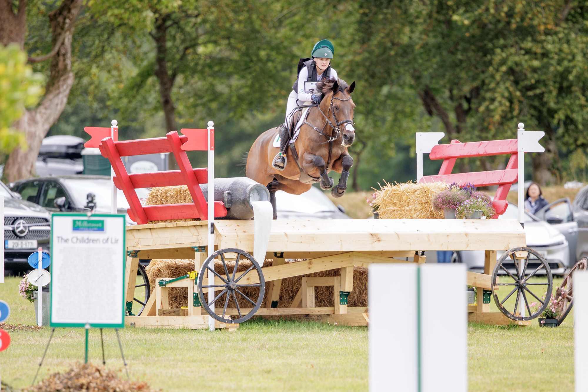 FEI Under-25 Eventing World Championship Millstreet