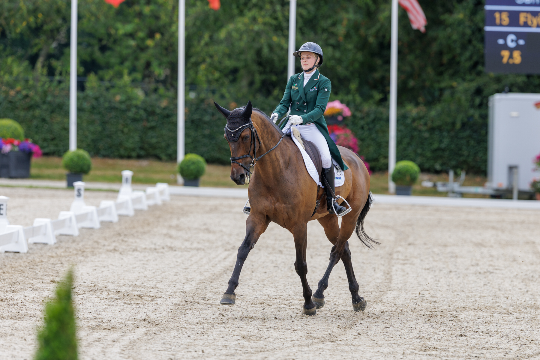 FEI Under-25 Eventing World Championship Millstreet