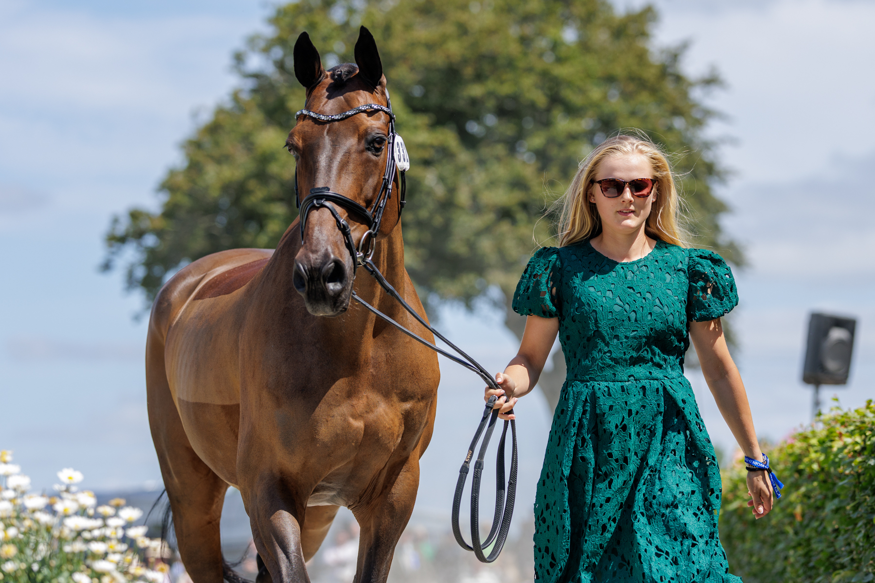 The FEI Eventing World Championship U25 2026 presented by Connolly’s RED MILLS