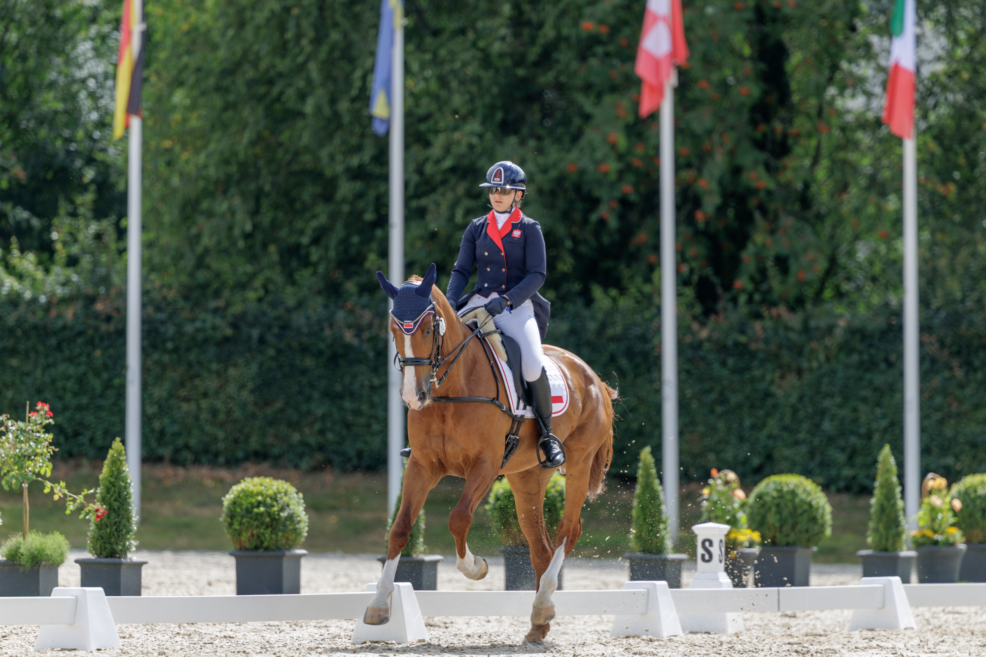 FEI Under-25 Eventing World Championship Millstreet