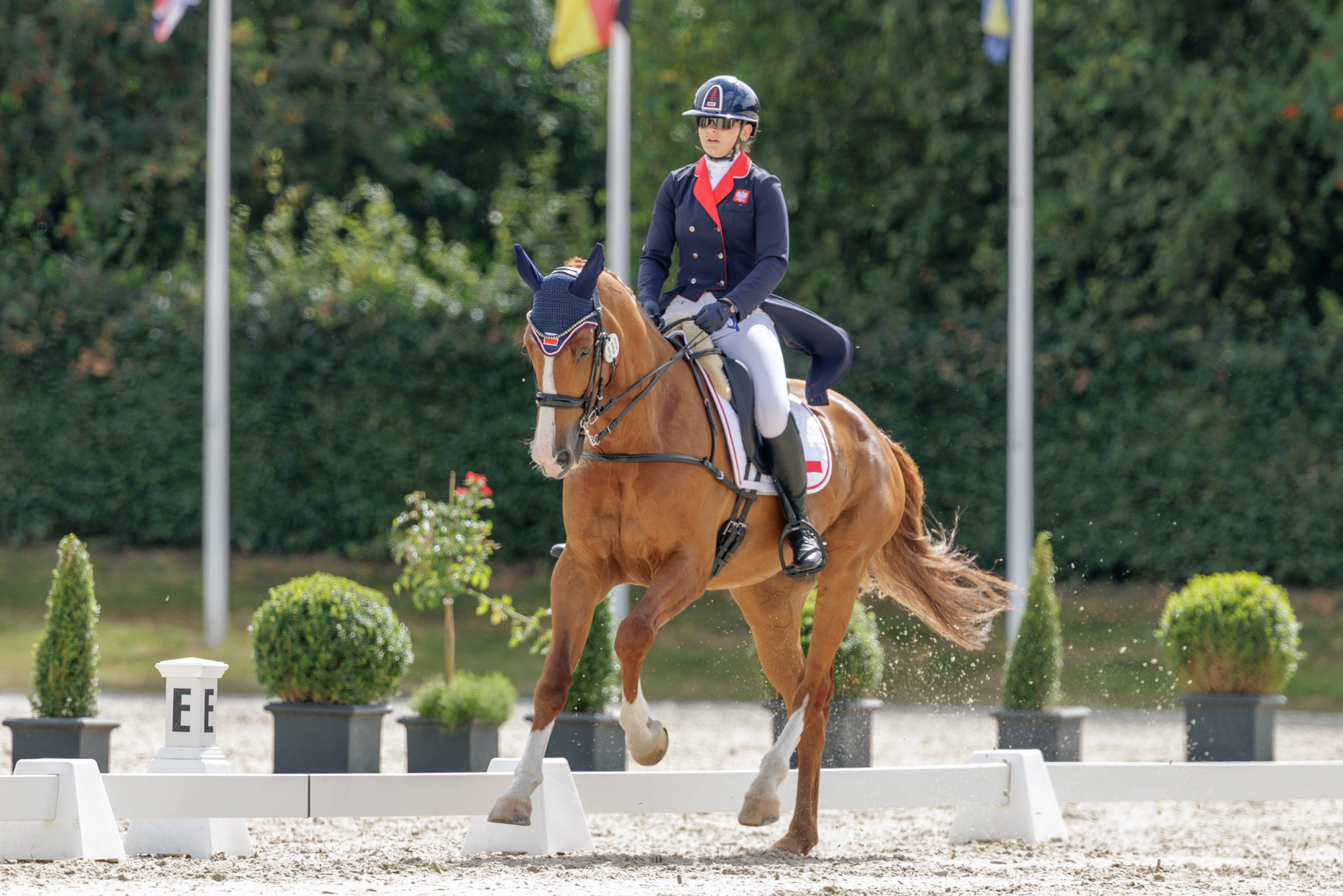 FEI Under-25 Eventing World Championship Millstreet