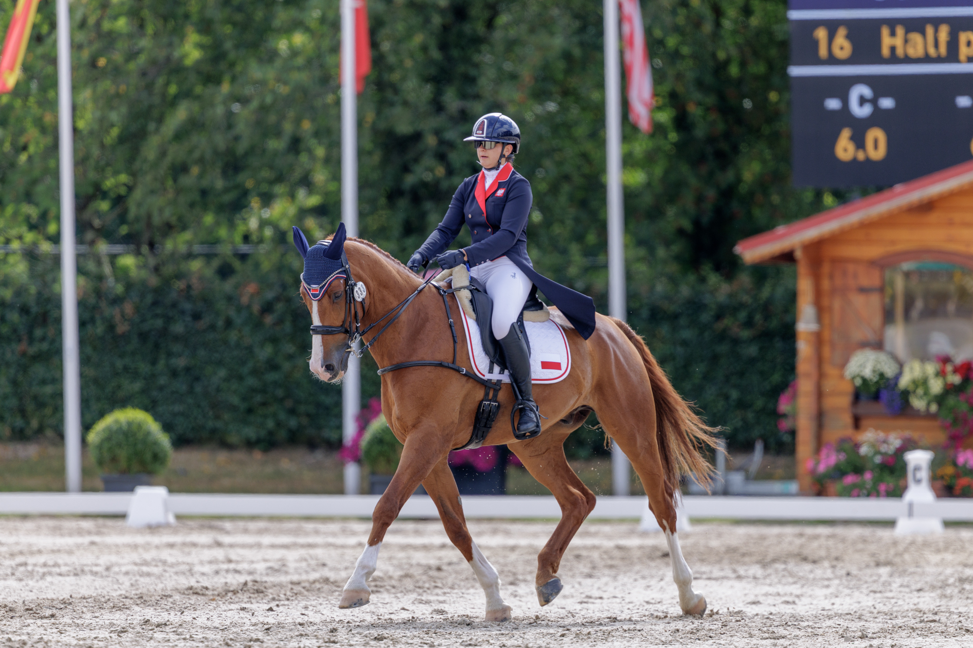 FEI Under-25 Eventing World Championship Millstreet