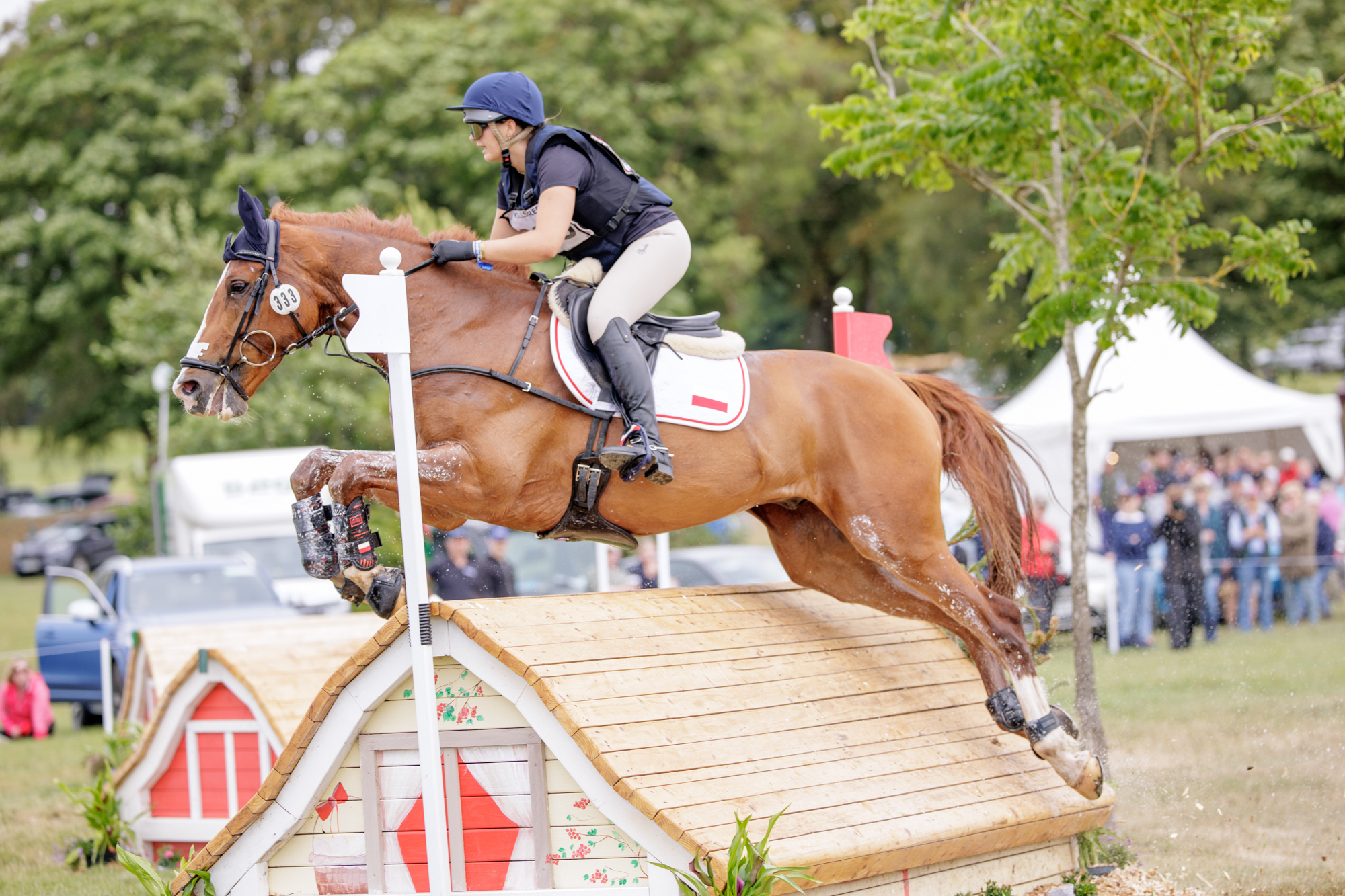 FEI Under-25 Eventing World Championship Millstreet