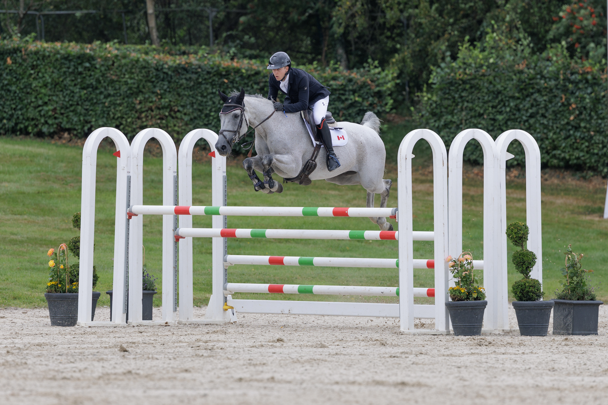 FEI Under-25 Eventing World Championship Millstreet