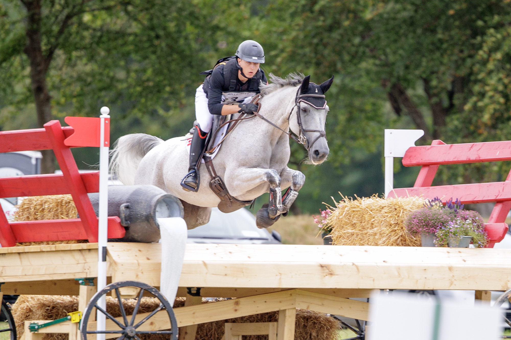 FEI Under-25 Eventing World Championship Millstreet