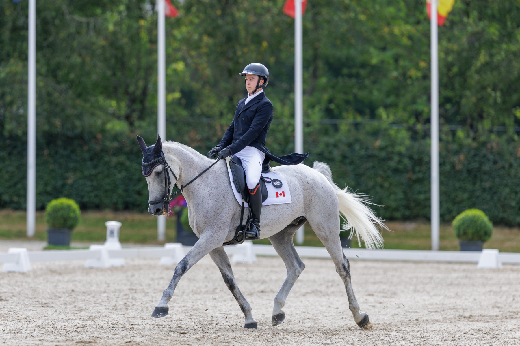 FEI Under-25 Eventing World Championship Millstreet