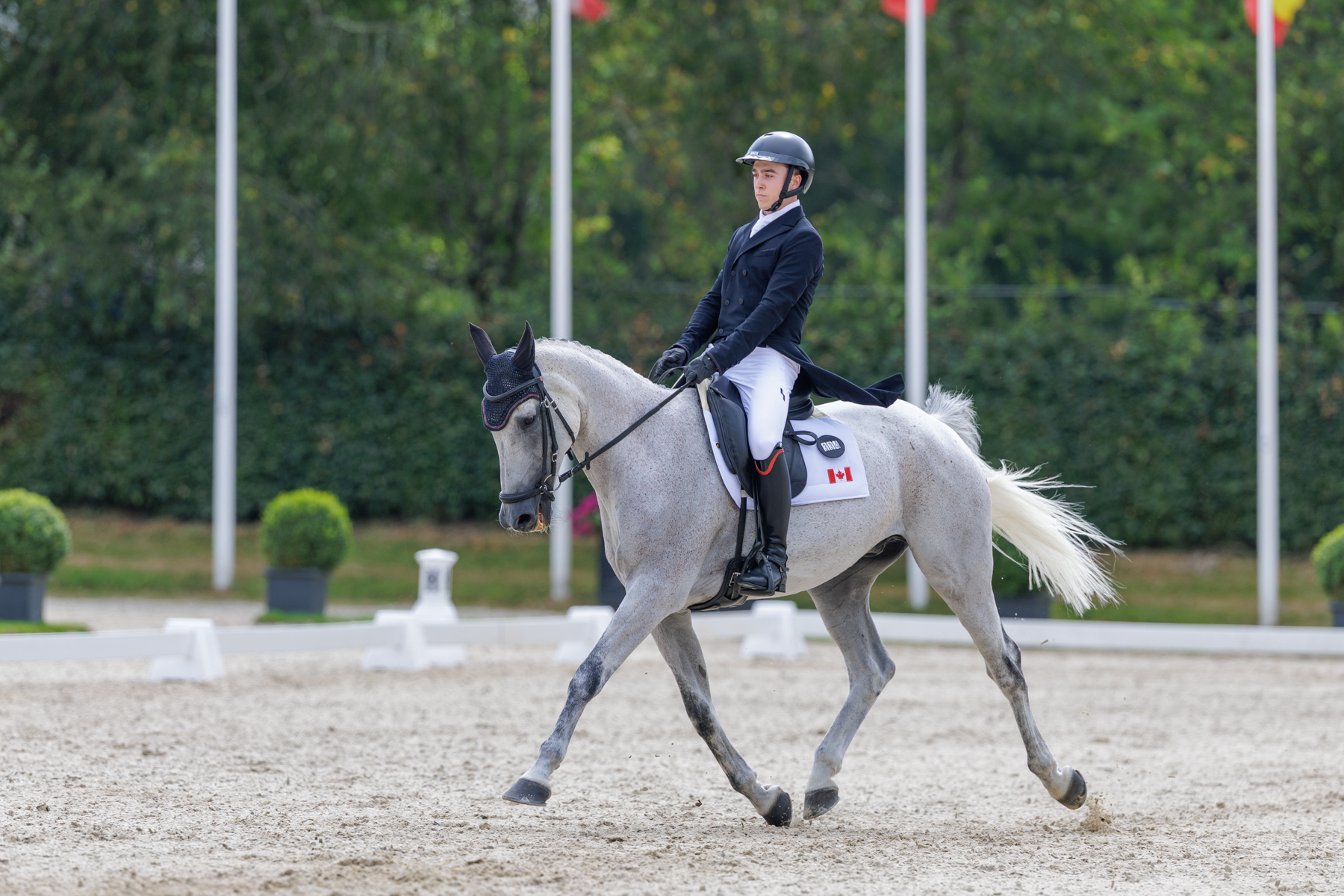 FEI Under-25 Eventing World Championship Millstreet