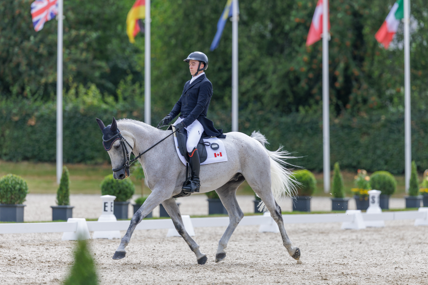 FEI Under-25 Eventing World Championship Millstreet