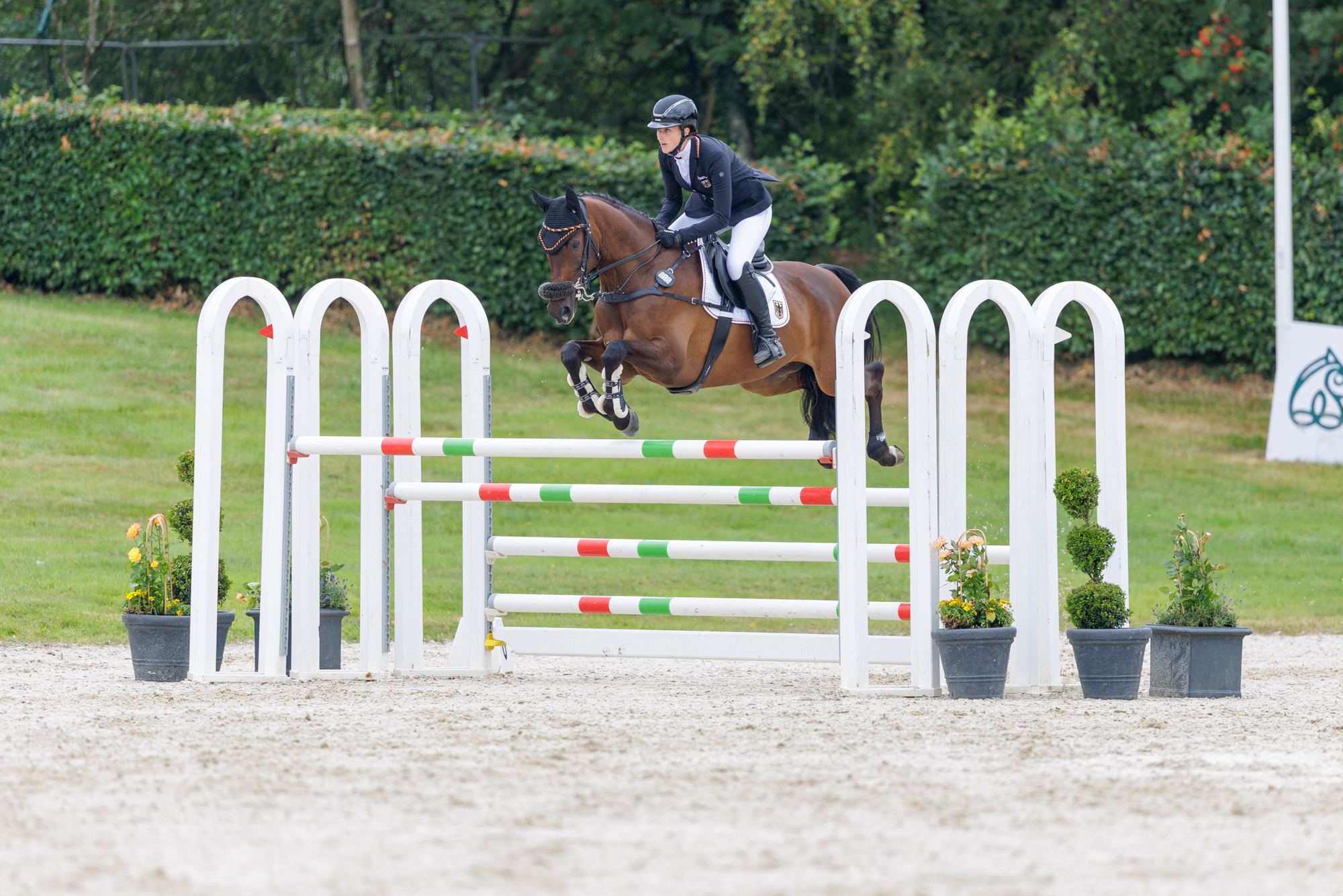 FEI Under-25 Eventing World Championship Millstreet