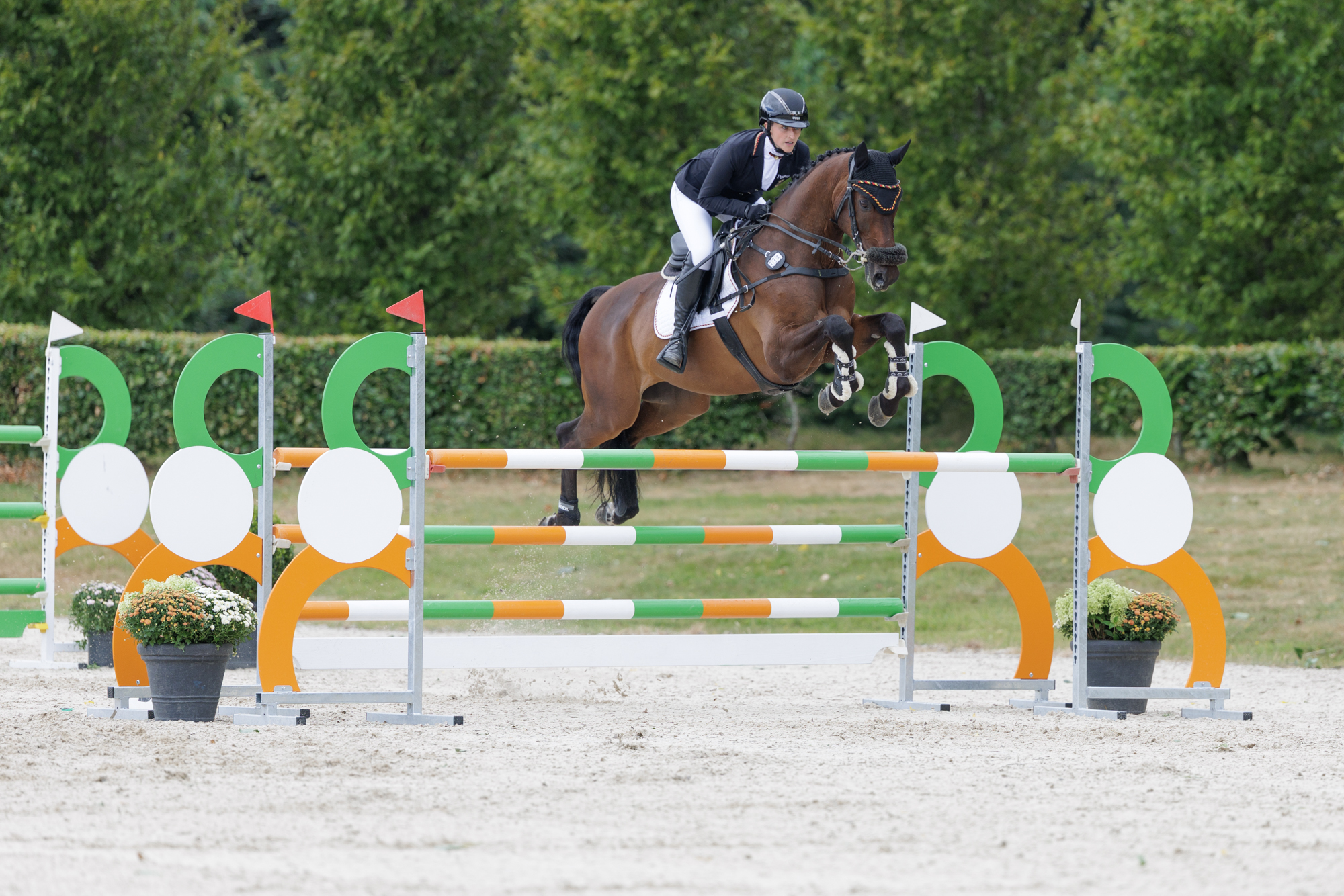 FEI Under-25 Eventing World Championship Millstreet