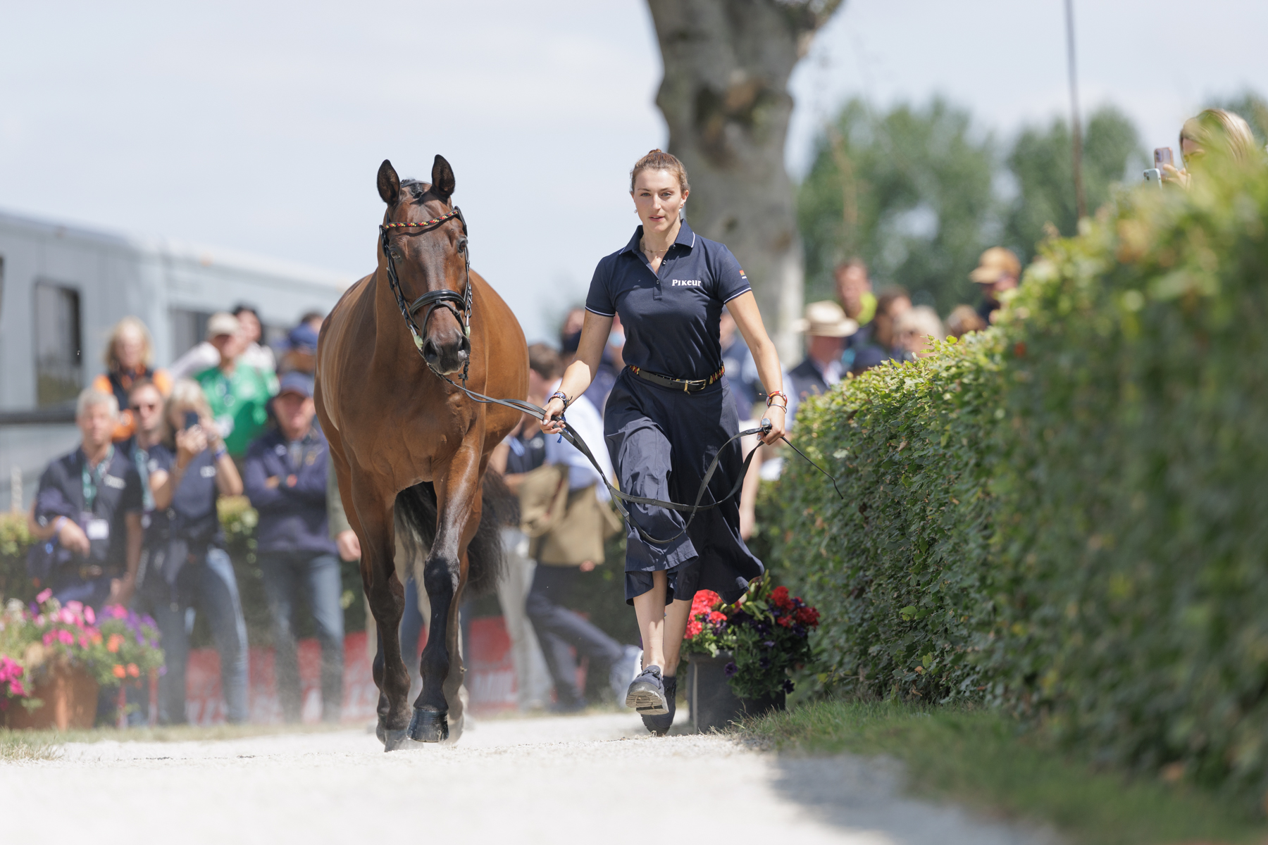 The FEI Eventing World Championship U25 2026 presented by Connolly’s RED MILLS