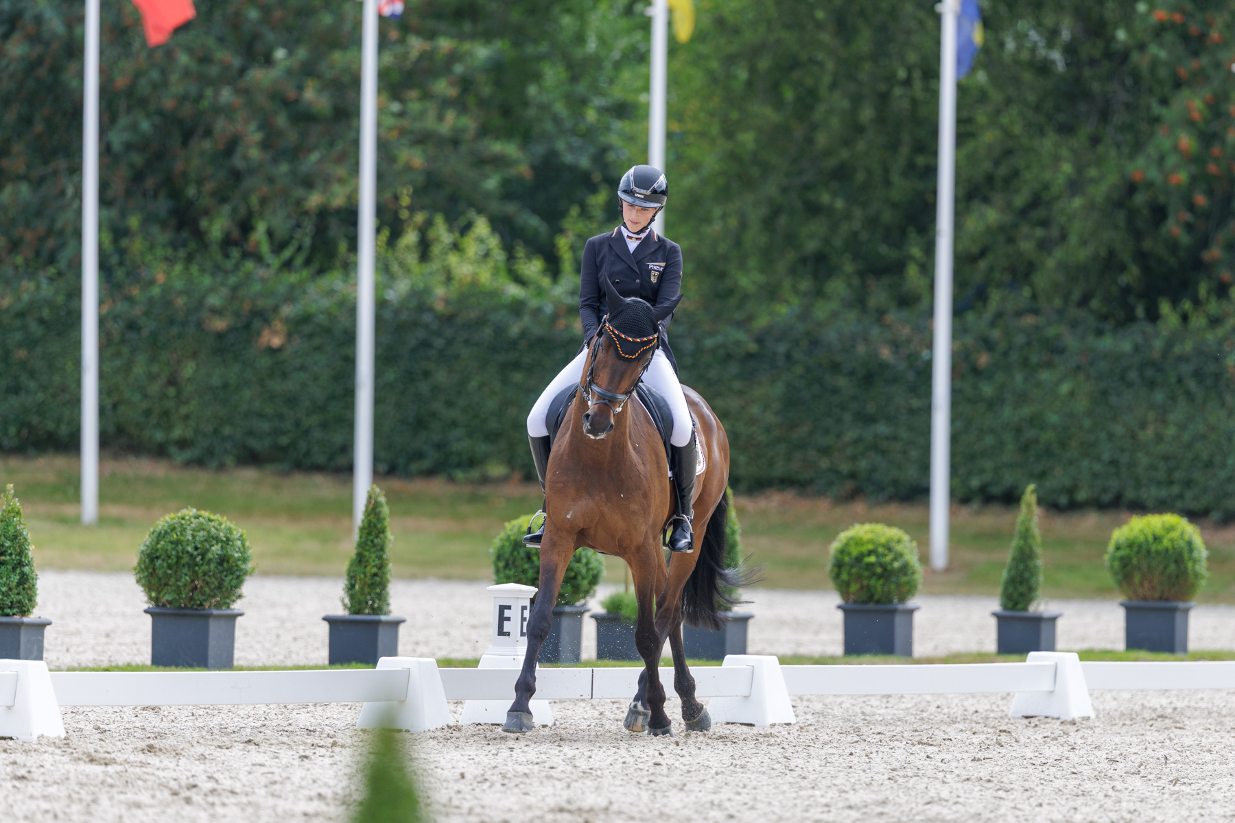 FEI Under-25 Eventing World Championship Millstreet