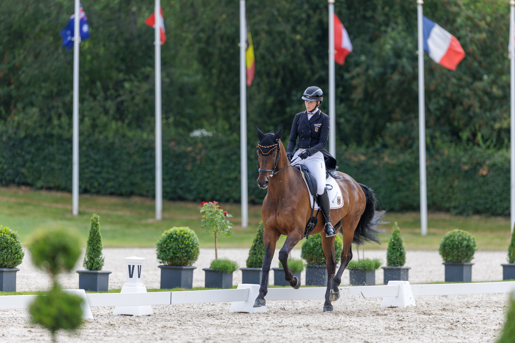 FEI Under-25 Eventing World Championship Millstreet