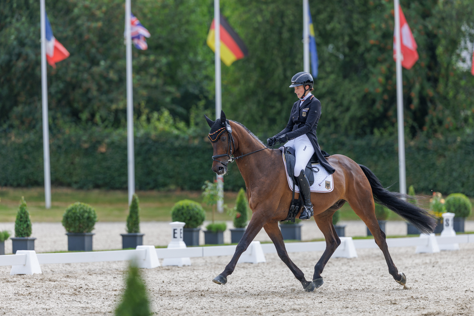 FEI Under-25 Eventing World Championship Millstreet