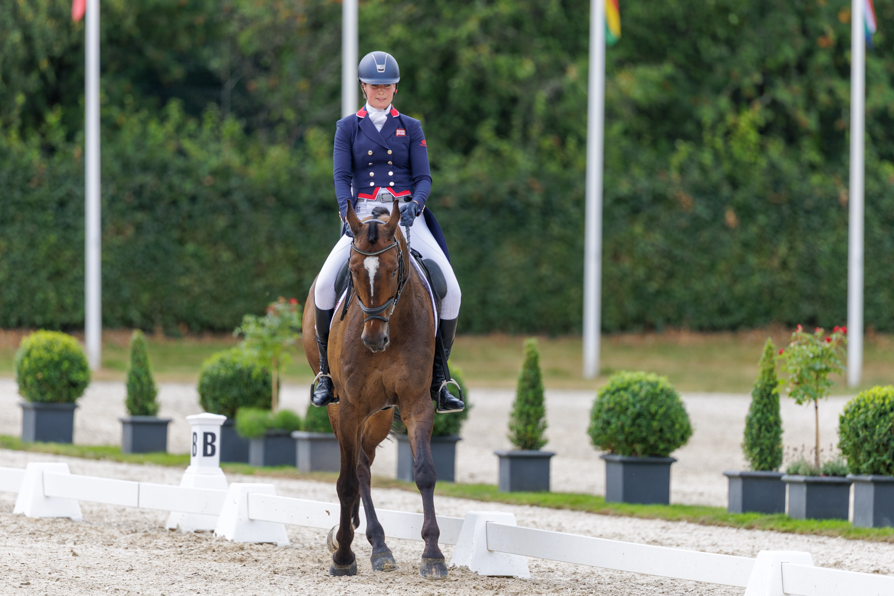 FEI Under-25 Eventing World Championship Millstreet