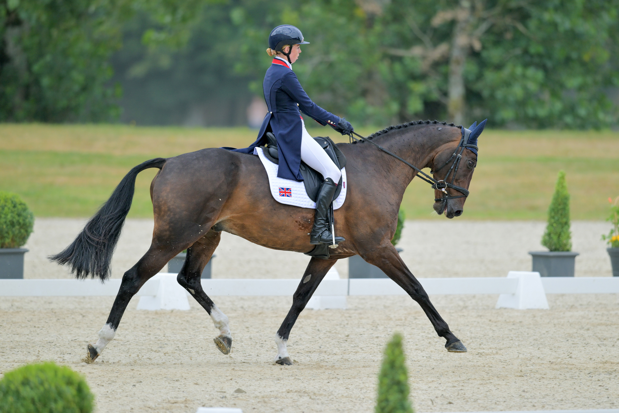 FEI Under-25 Eventing World Championship Millstreet