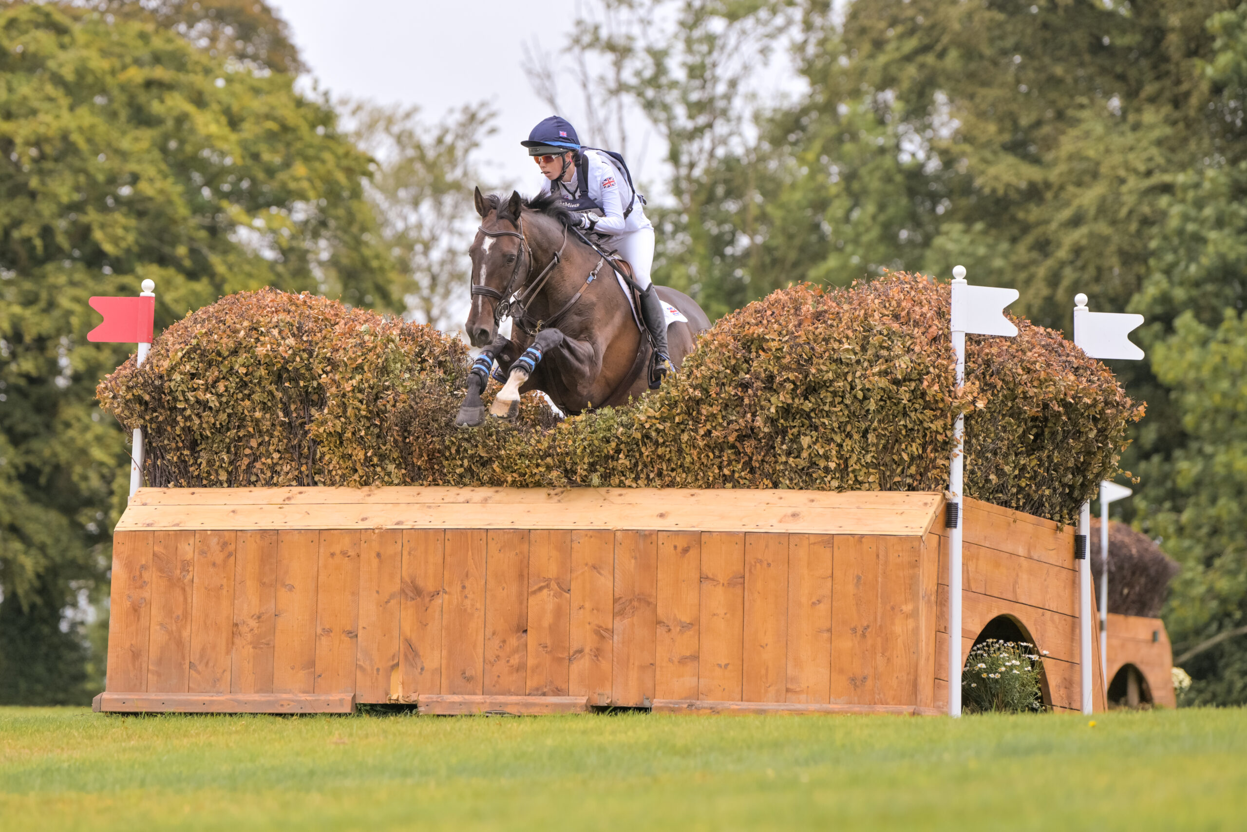 FEI Under-25 Eventing World Championship Millstreet