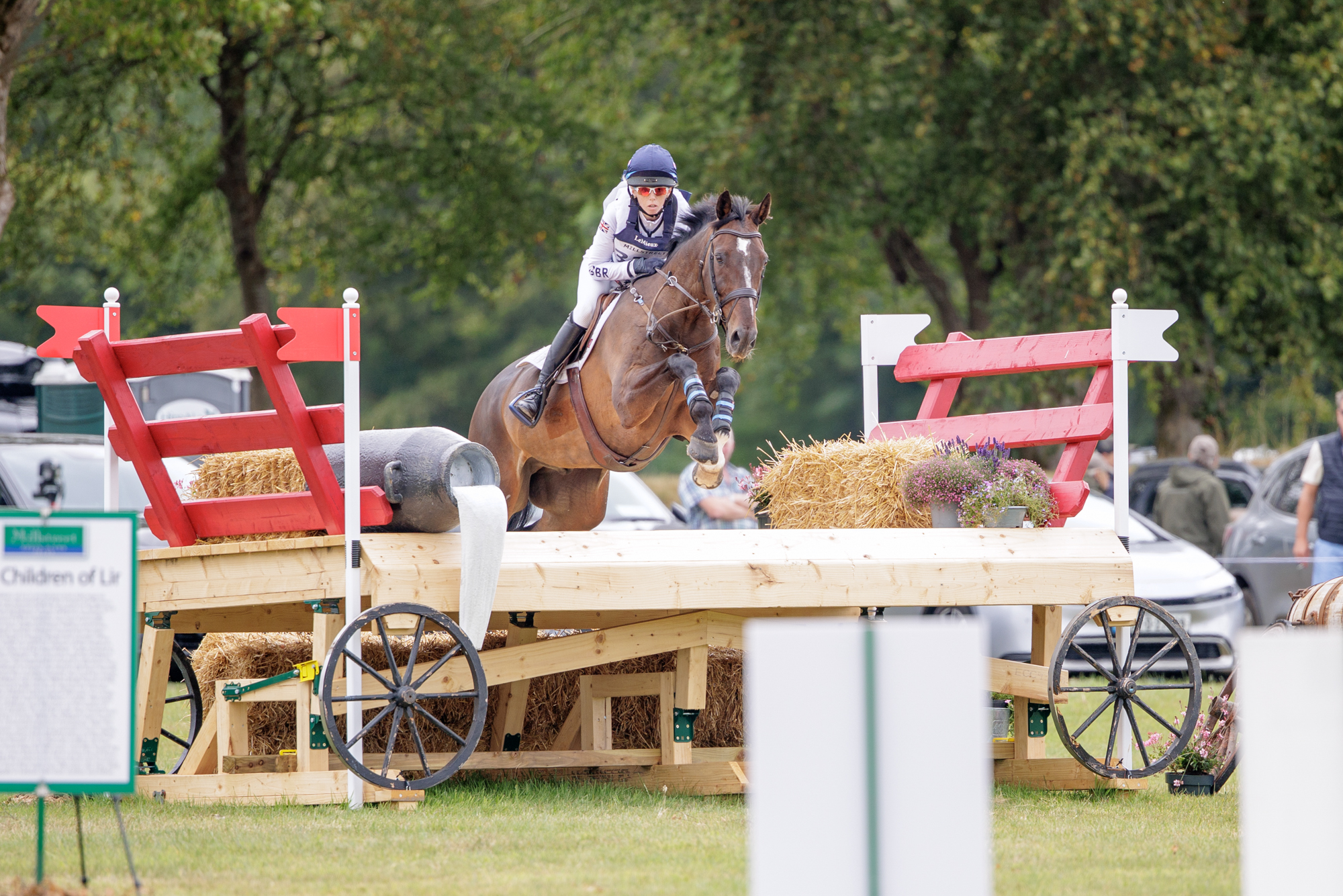 FEI Under-25 Eventing World Championship Millstreet