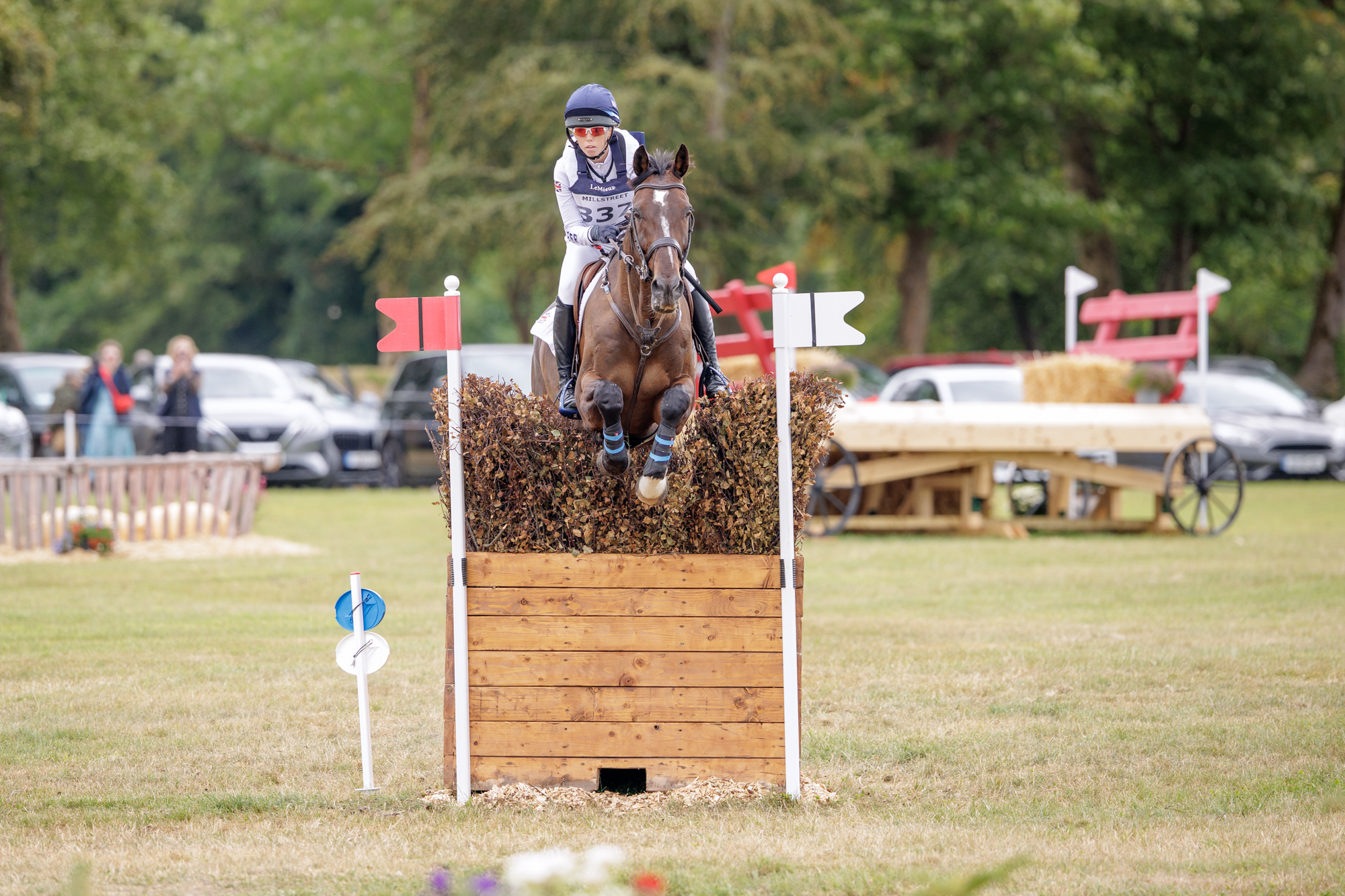 FEI Under-25 Eventing World Championship Millstreet