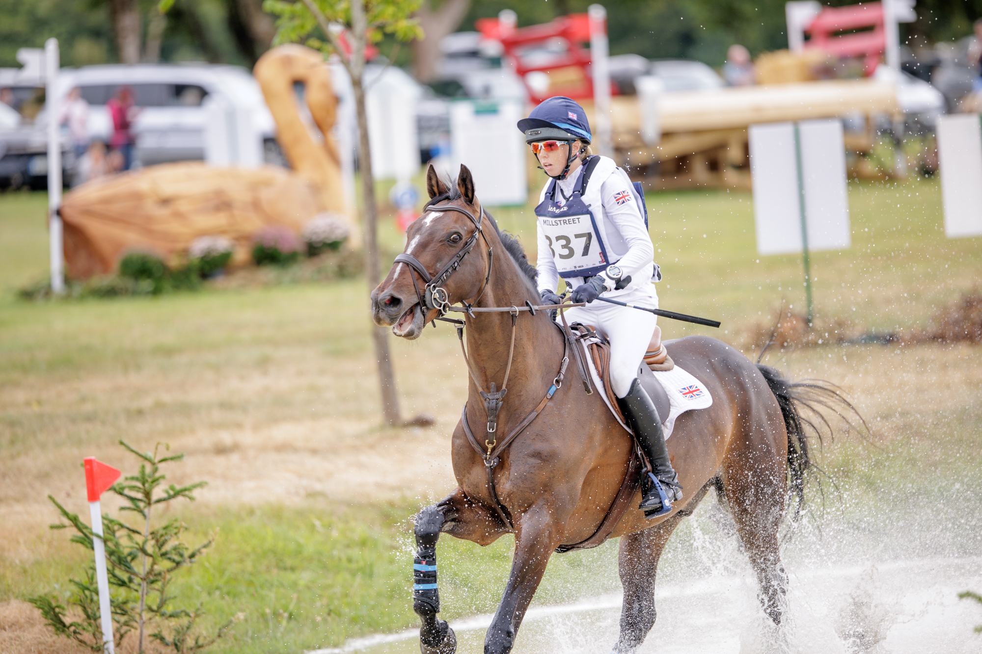 FEI Under-25 Eventing World Championship Millstreet
