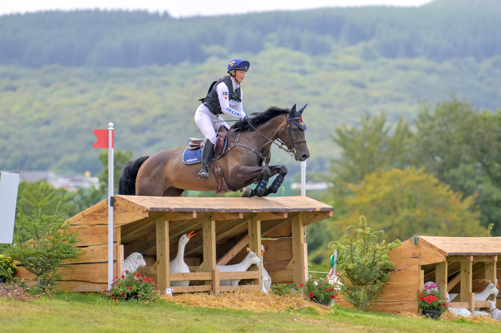 FEI Under-25 Eventing World Championship Millstreet