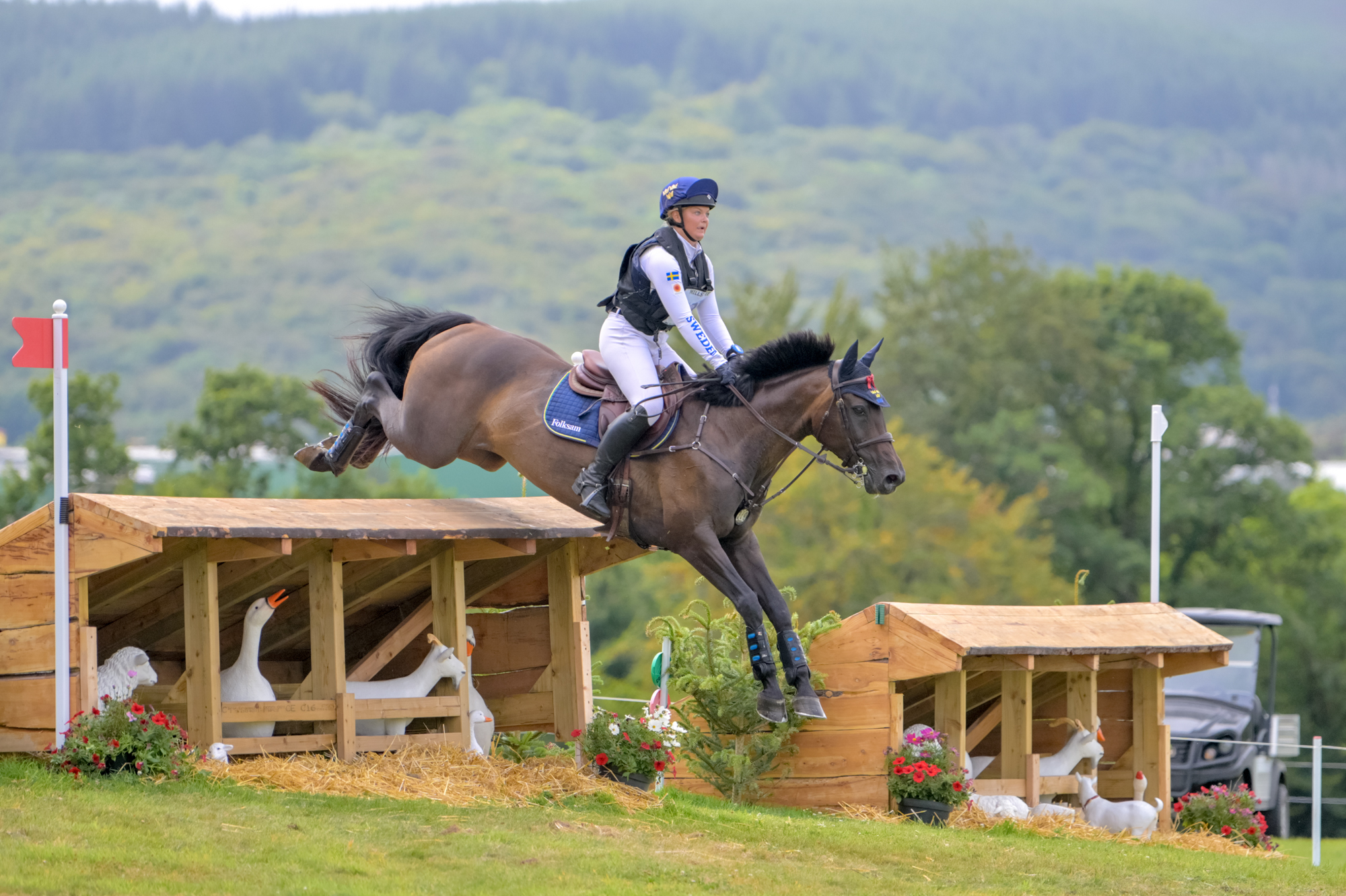 FEI Under-25 Eventing World Championship Millstreet