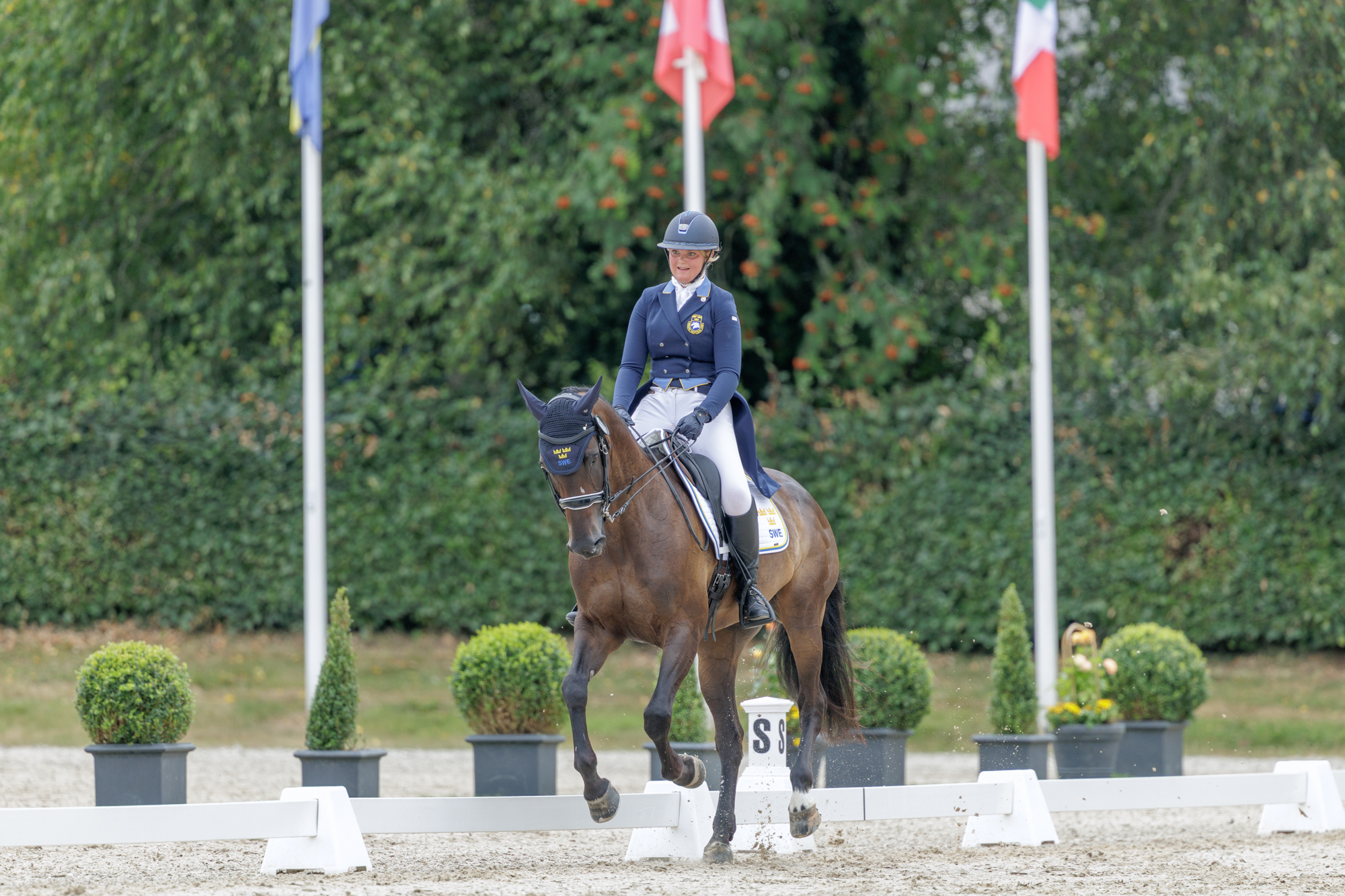 FEI Under-25 Eventing World Championship Millstreet