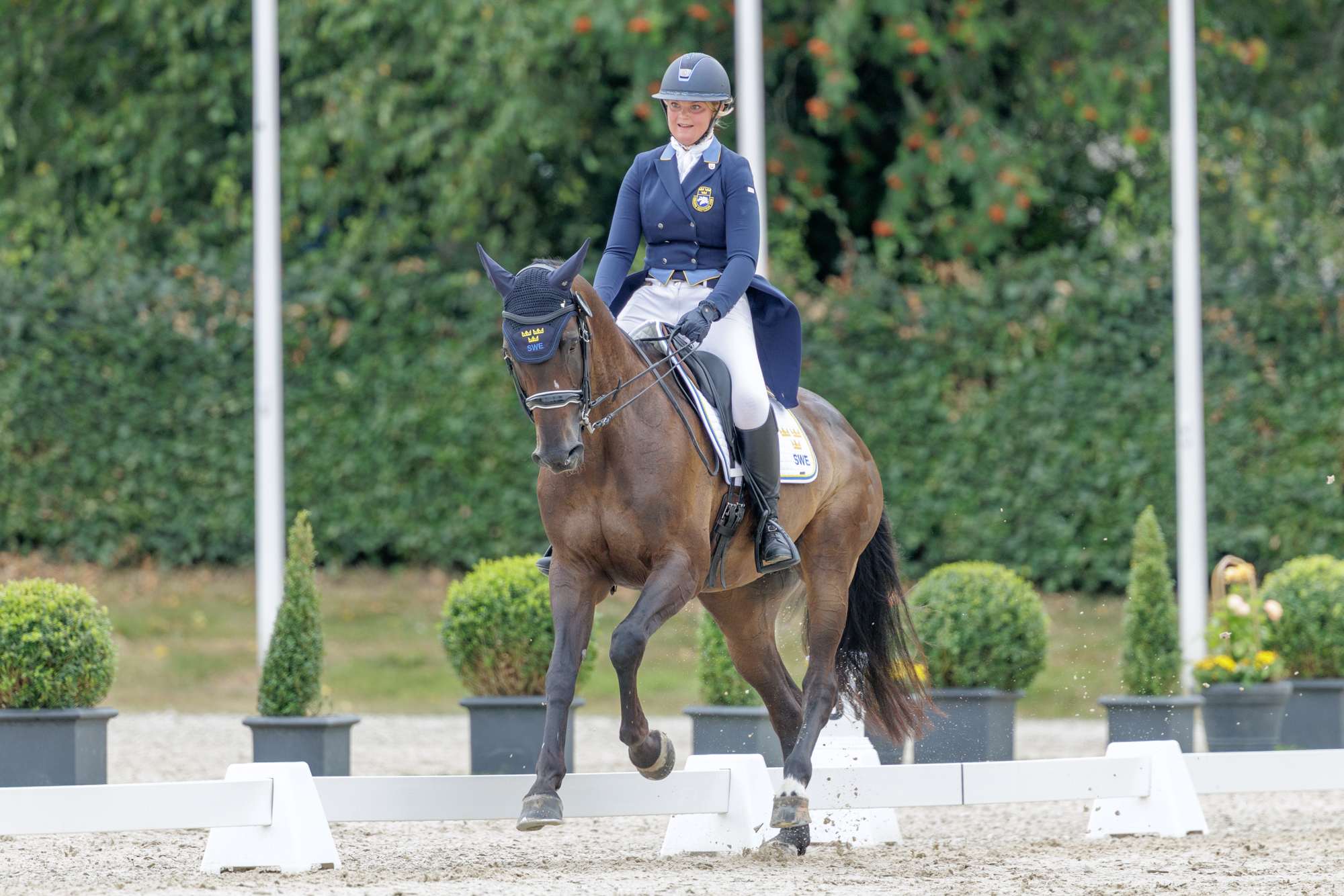 FEI Under-25 Eventing World Championship Millstreet
