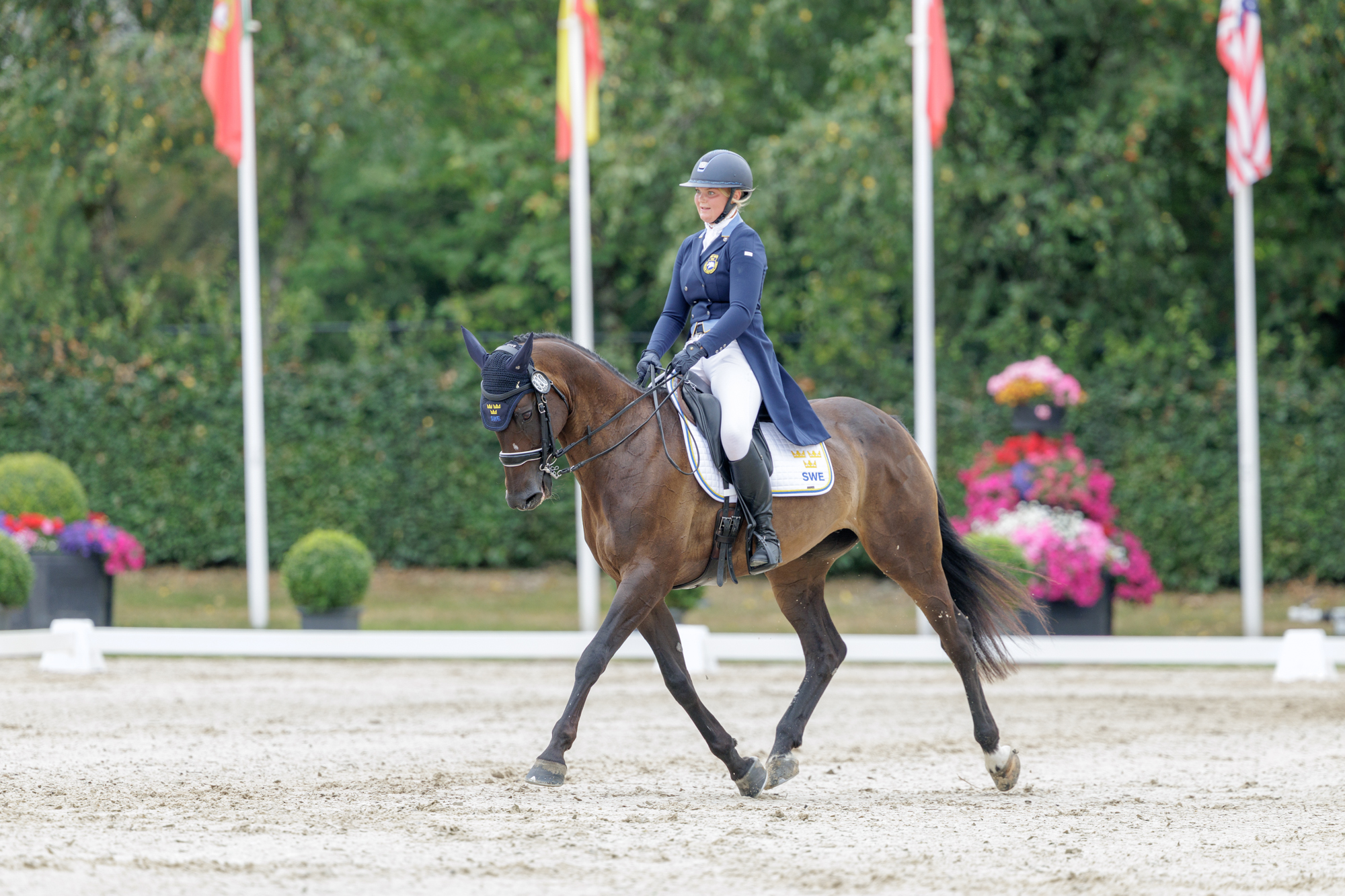 FEI Under-25 Eventing World Championship Millstreet