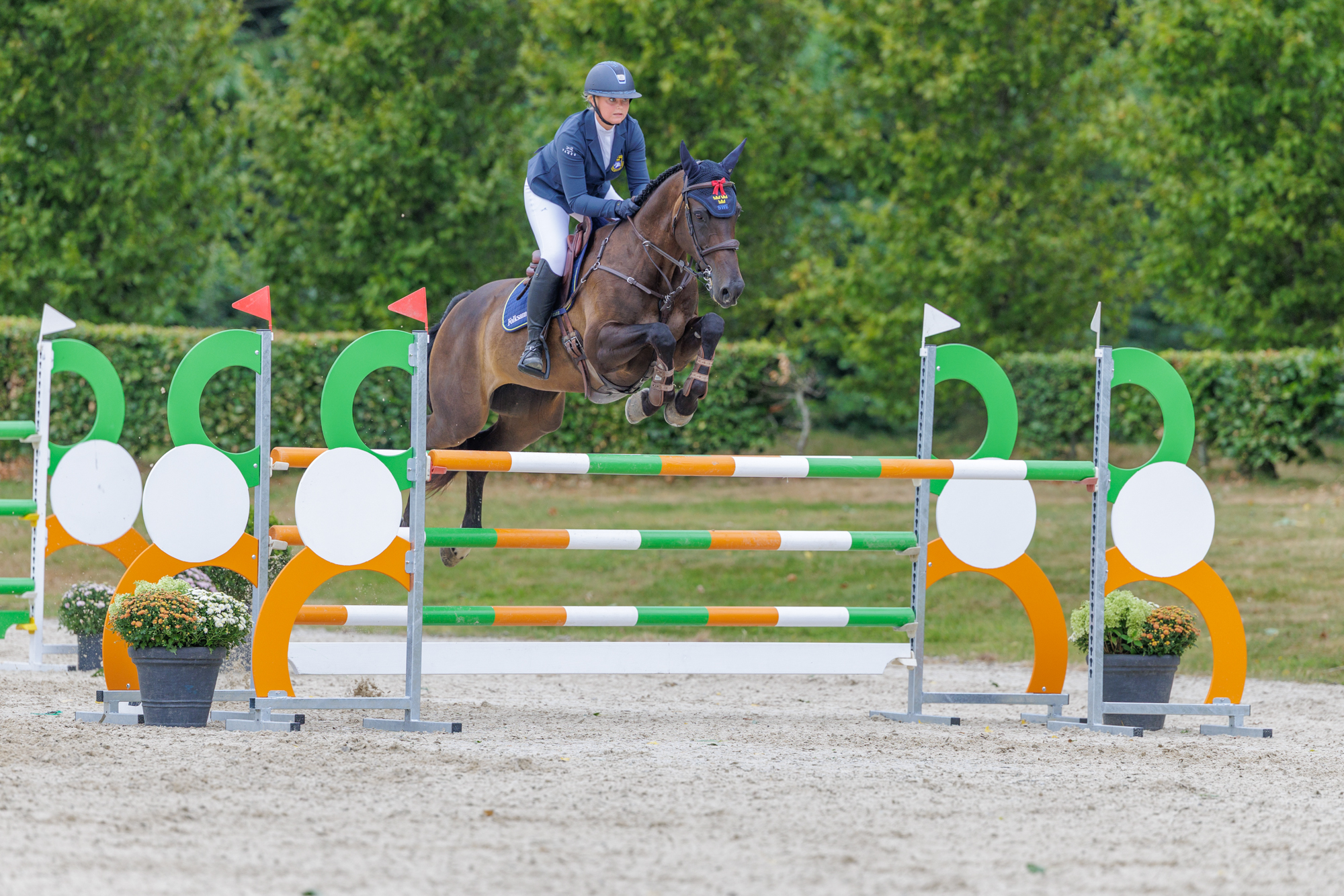 FEI Under-25 Eventing World Championship Millstreet