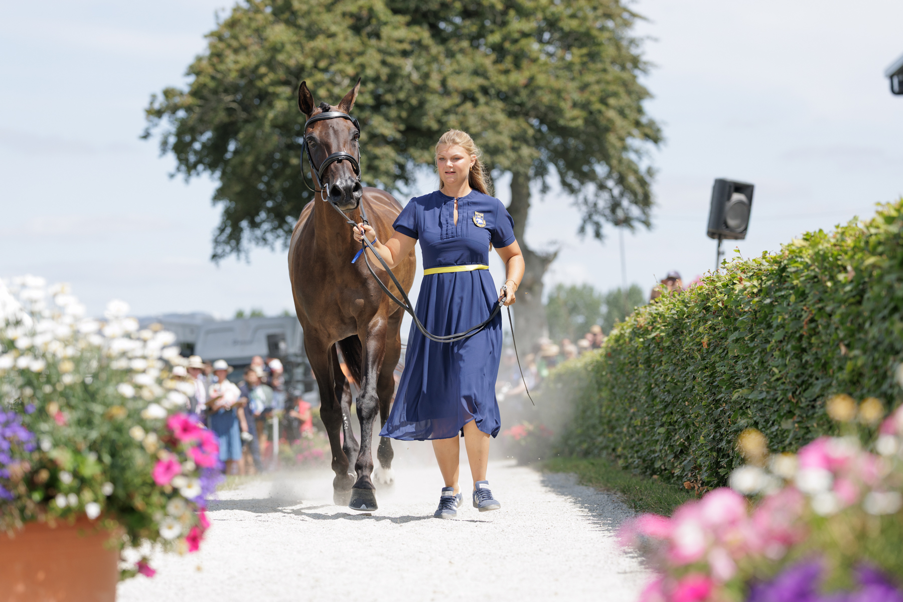 The FEI Eventing World Championship U25 2026 presented by Connolly’s RED MILLS