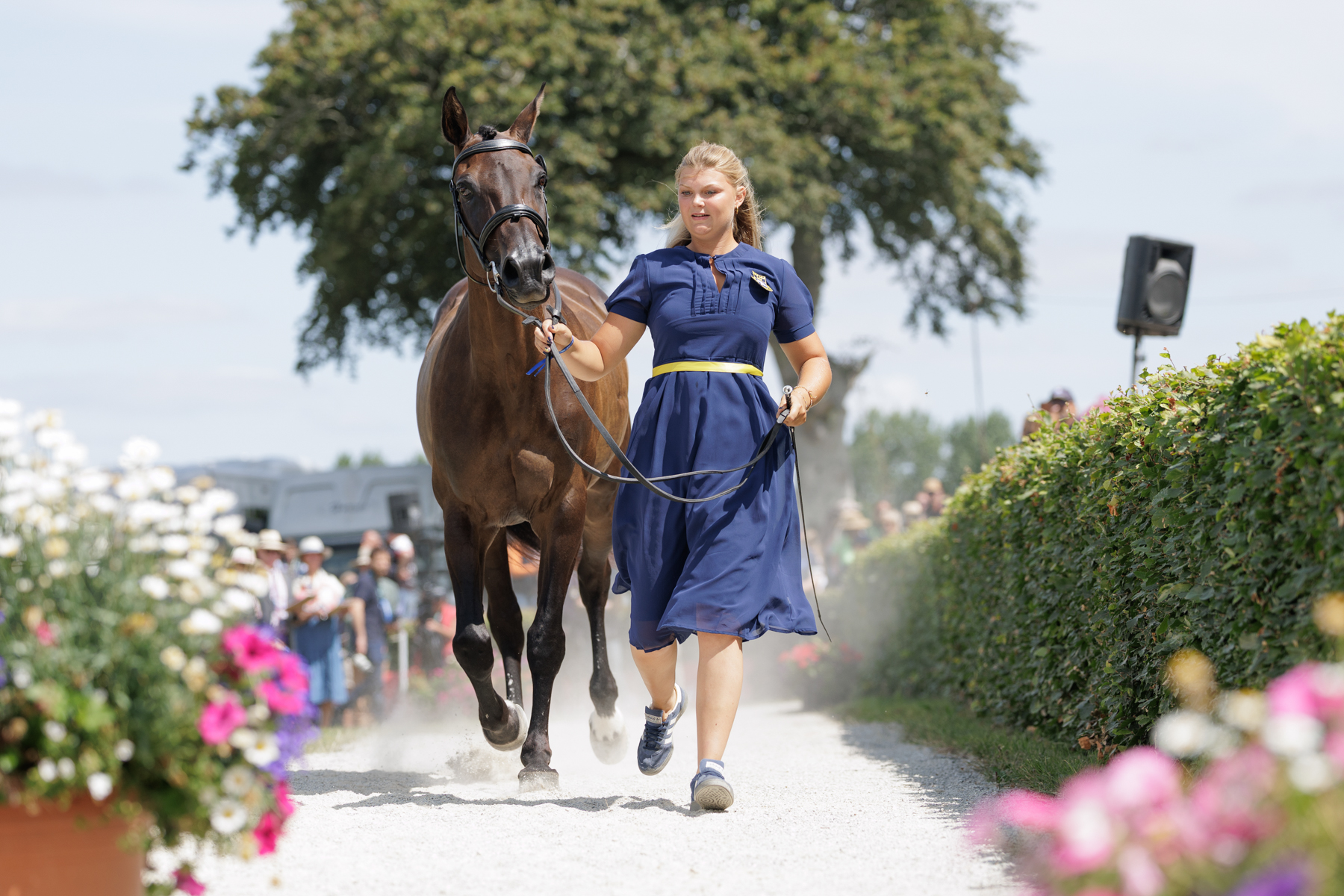 The FEI Eventing World Championship U25 2026 presented by Connolly’s RED MILLS