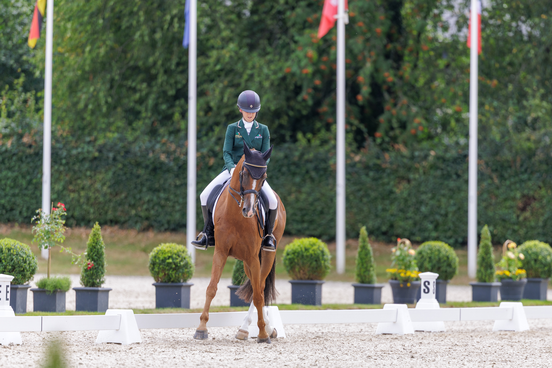 FEI Under-25 Eventing World Championship Millstreet