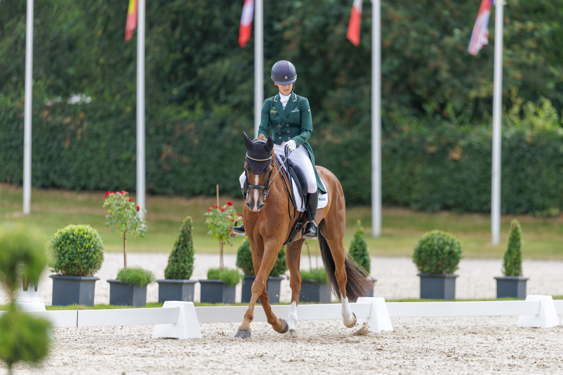 FEI Under-25 Eventing World Championship Millstreet