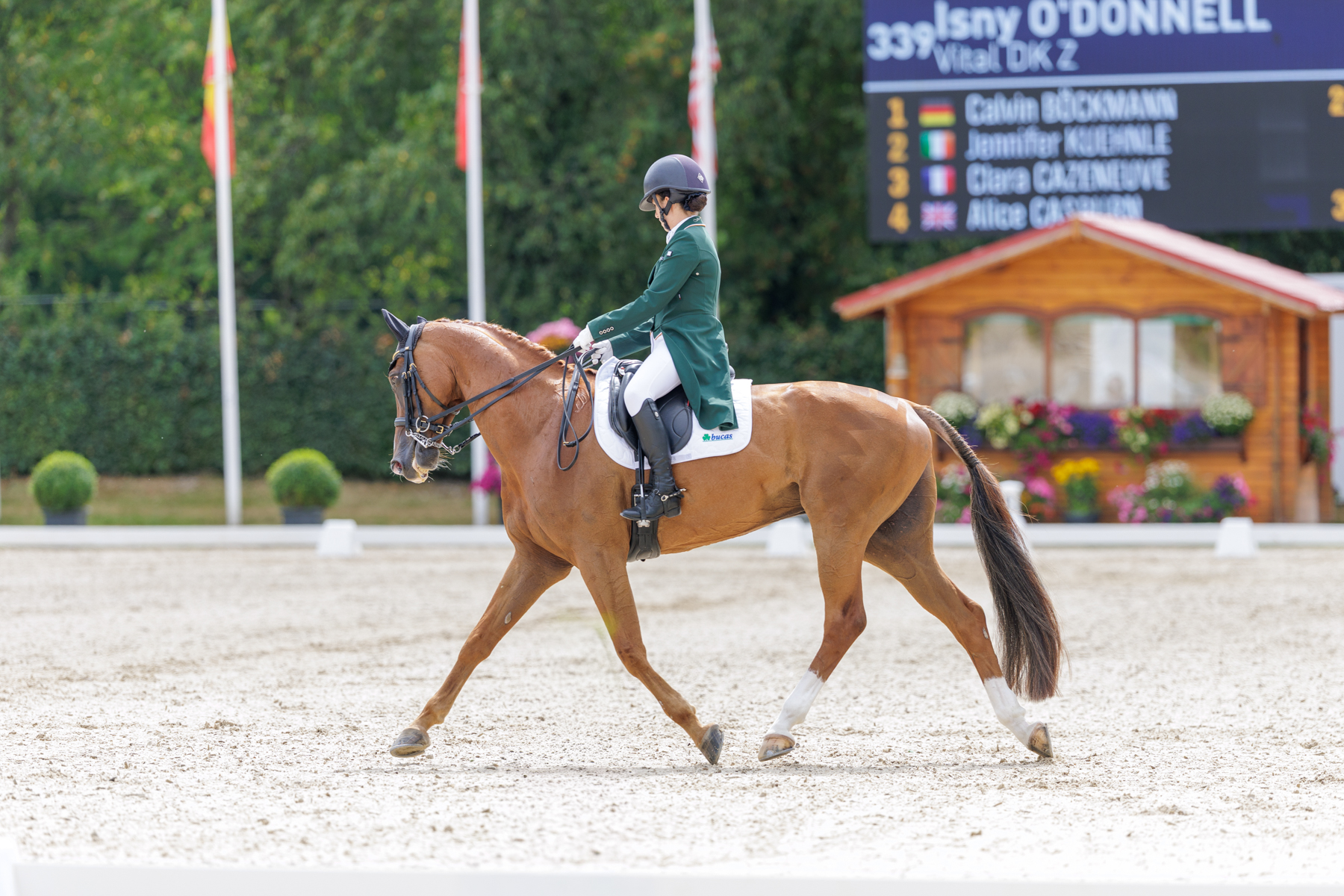 FEI Under-25 Eventing World Championship Millstreet