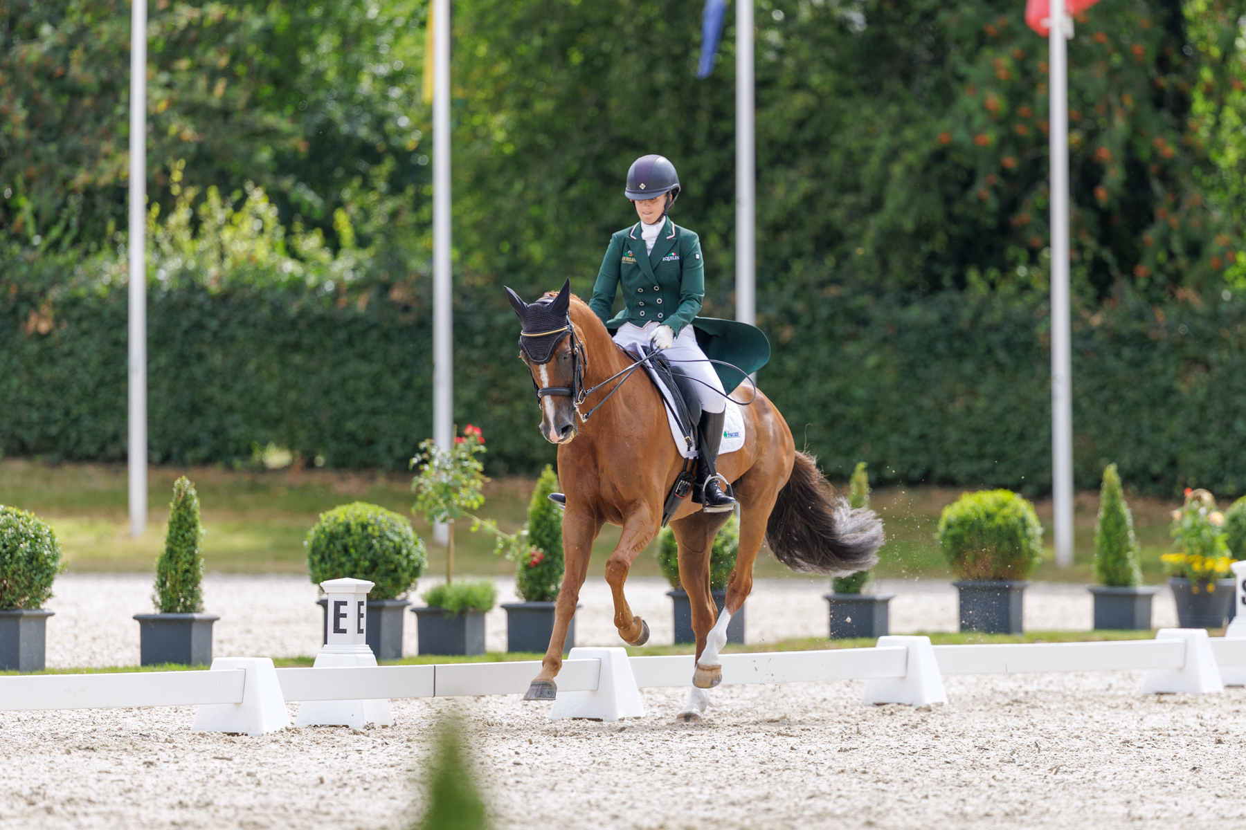 FEI Under-25 Eventing World Championship Millstreet