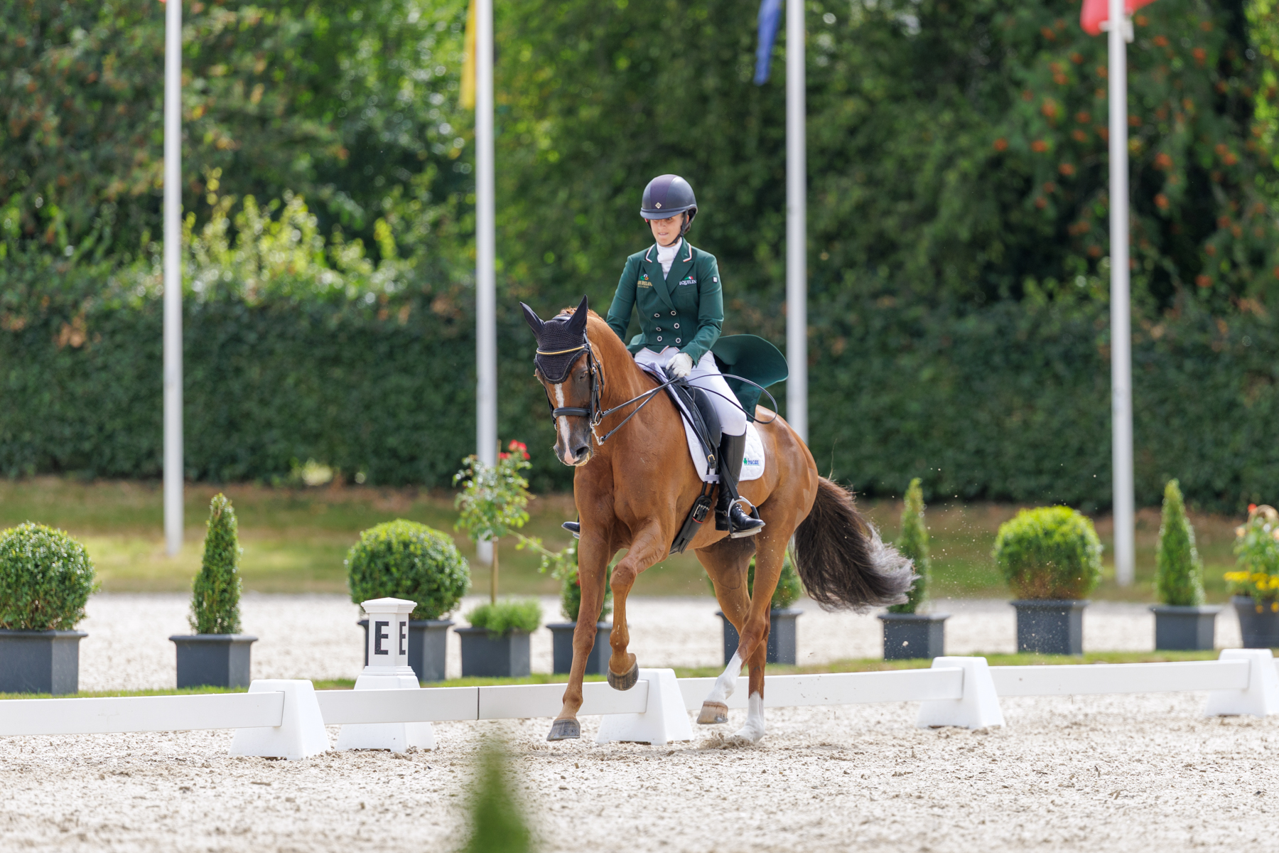 FEI Under-25 Eventing World Championship Millstreet