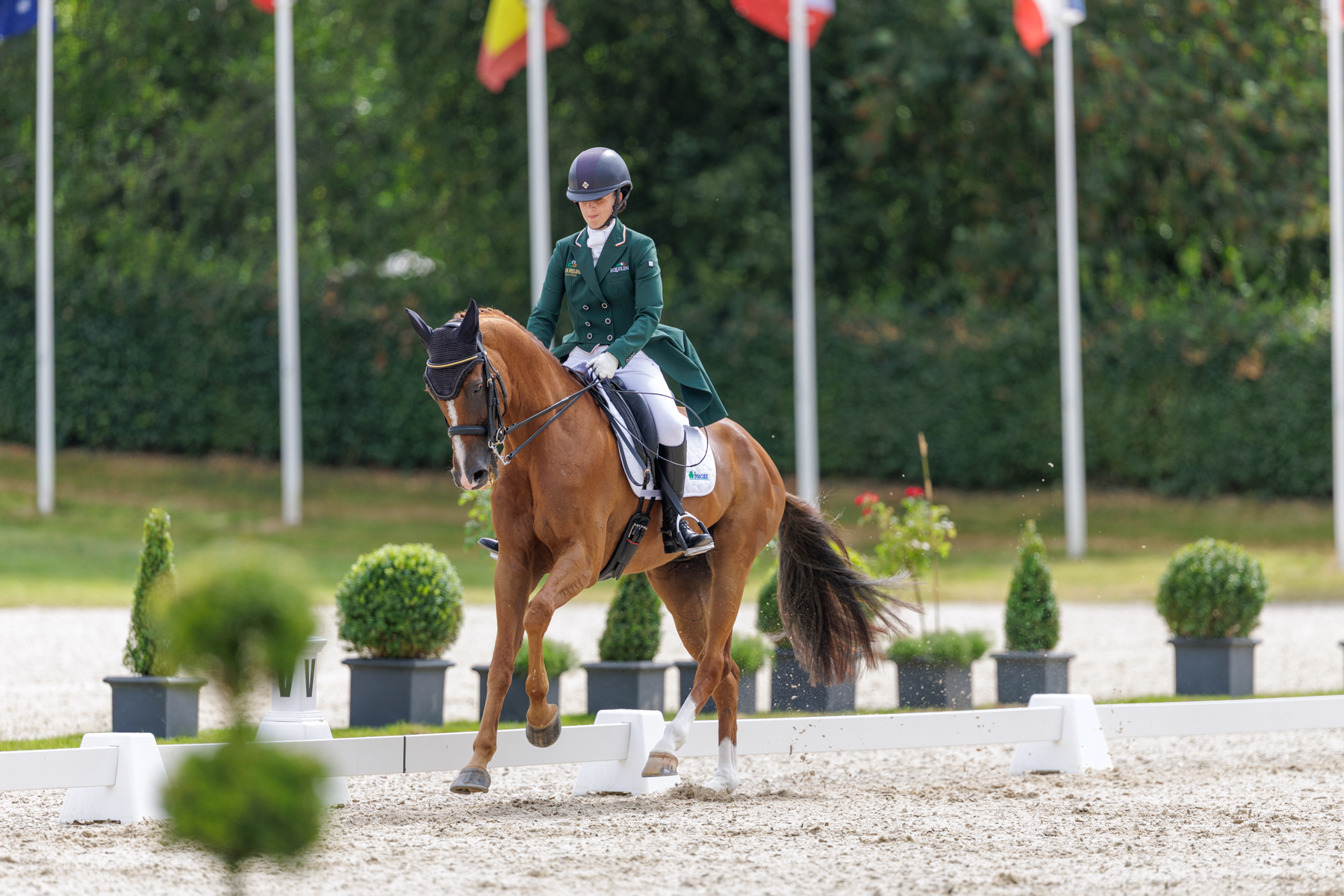 FEI Under-25 Eventing World Championship Millstreet