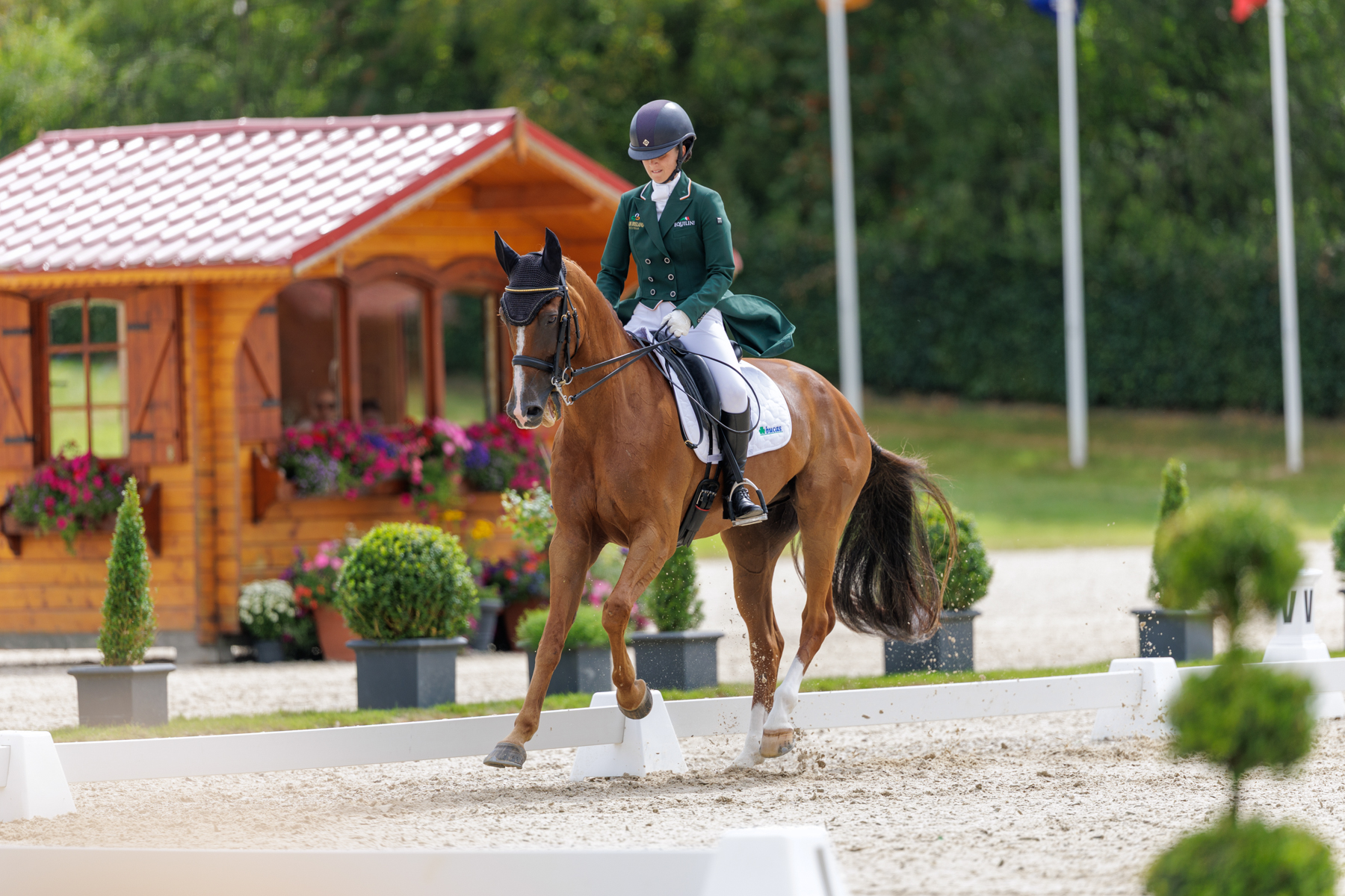 FEI Under-25 Eventing World Championship Millstreet