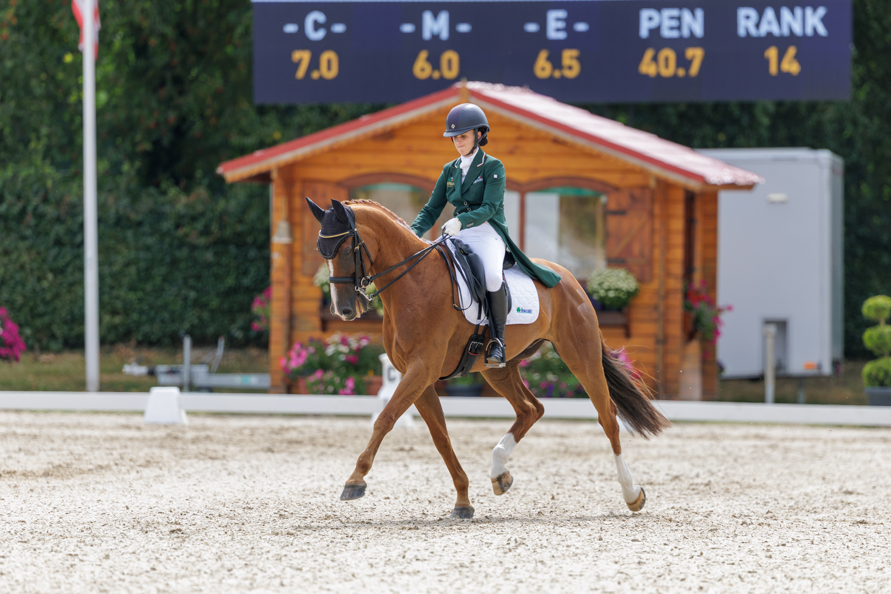 FEI Under-25 Eventing World Championship Millstreet