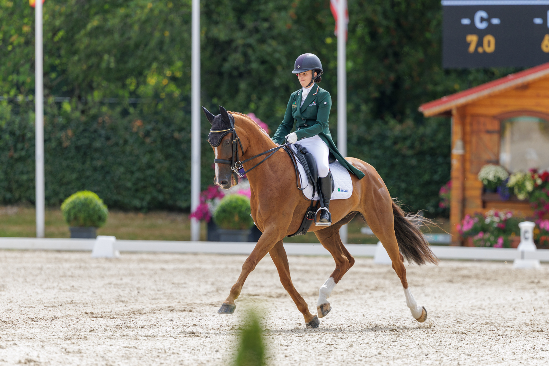 FEI Under-25 Eventing World Championship Millstreet