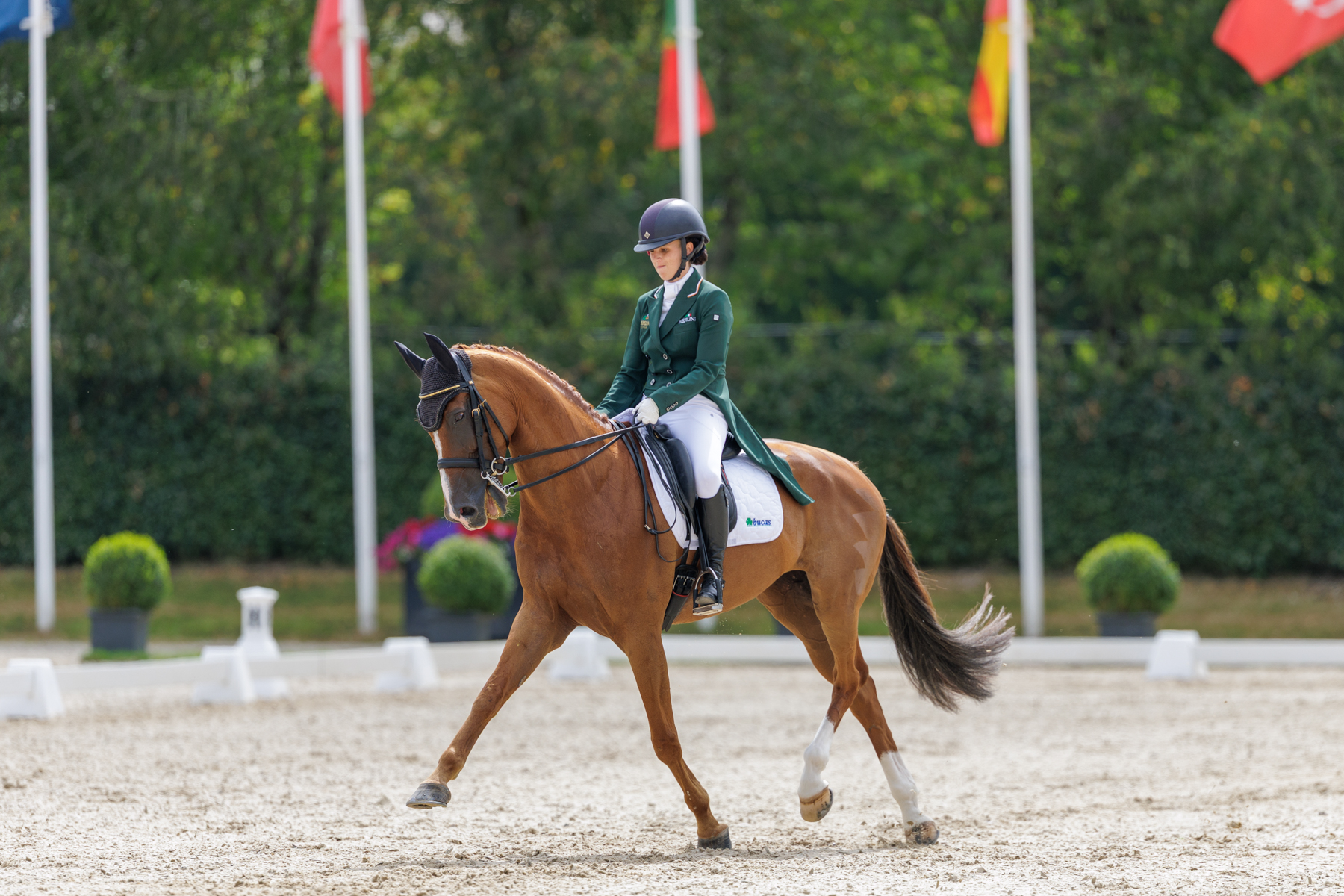 FEI Under-25 Eventing World Championship Millstreet