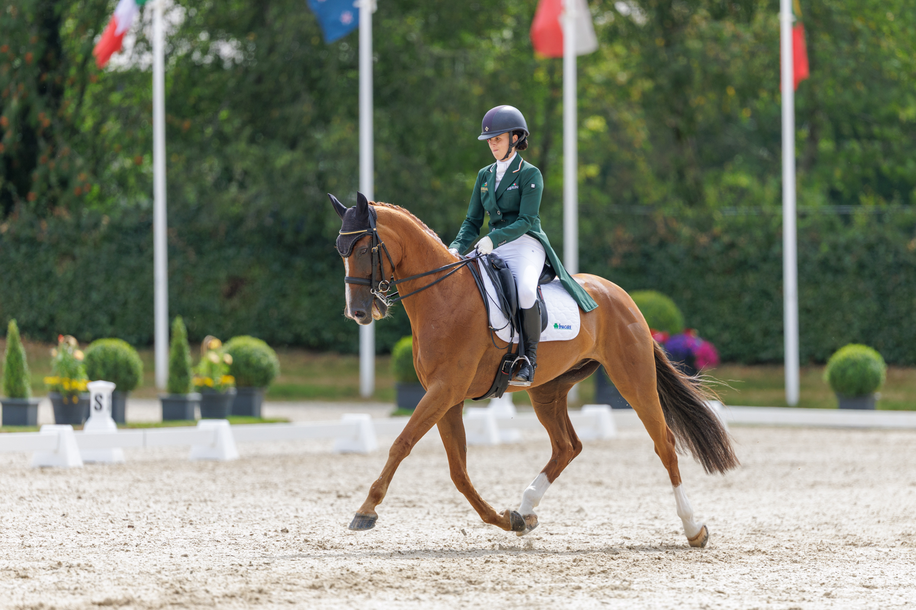FEI Under-25 Eventing World Championship Millstreet