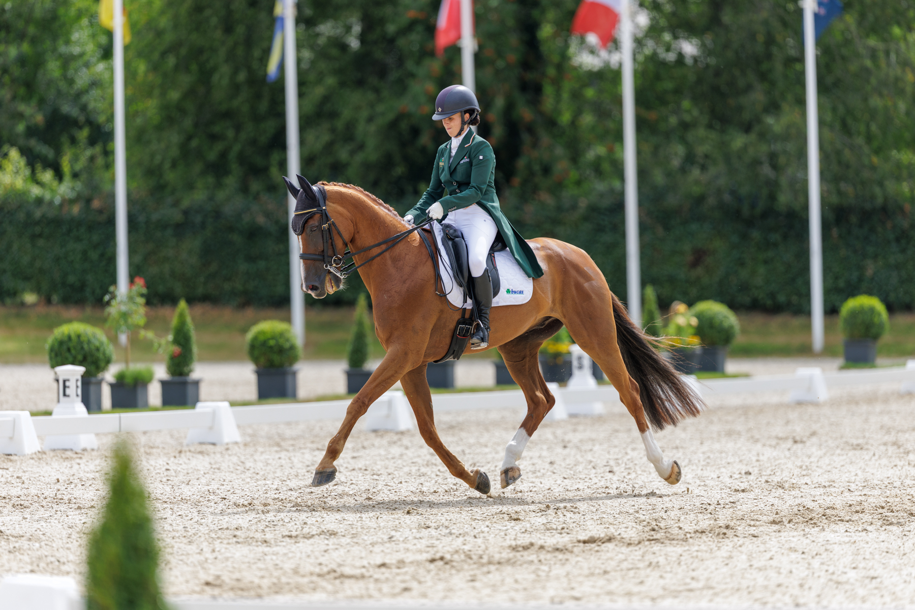 FEI Under-25 Eventing World Championship Millstreet