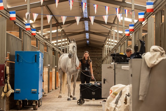 Flags in stables