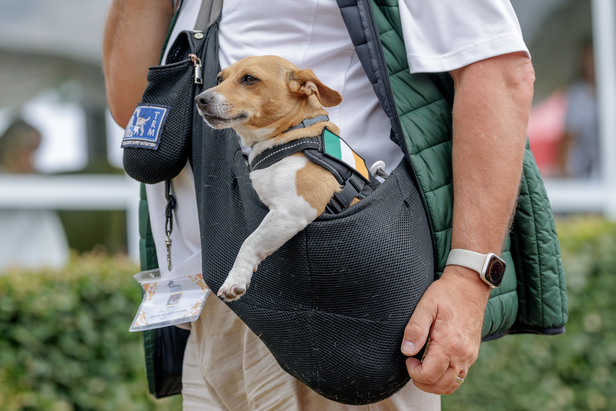 FEI Under-25 Eventing World Championship Millstreet