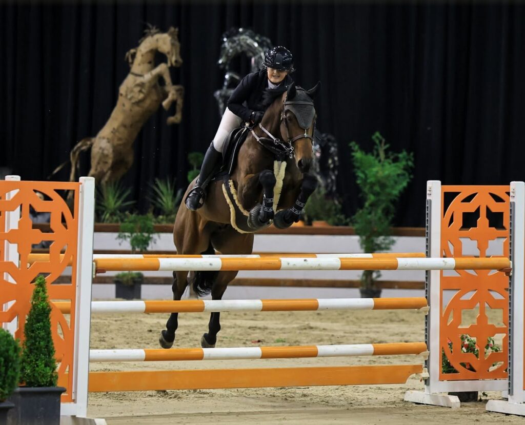 Following the success of our recent Autumn Shows, we have decided to come back for two more weekends of jumping action this winter.